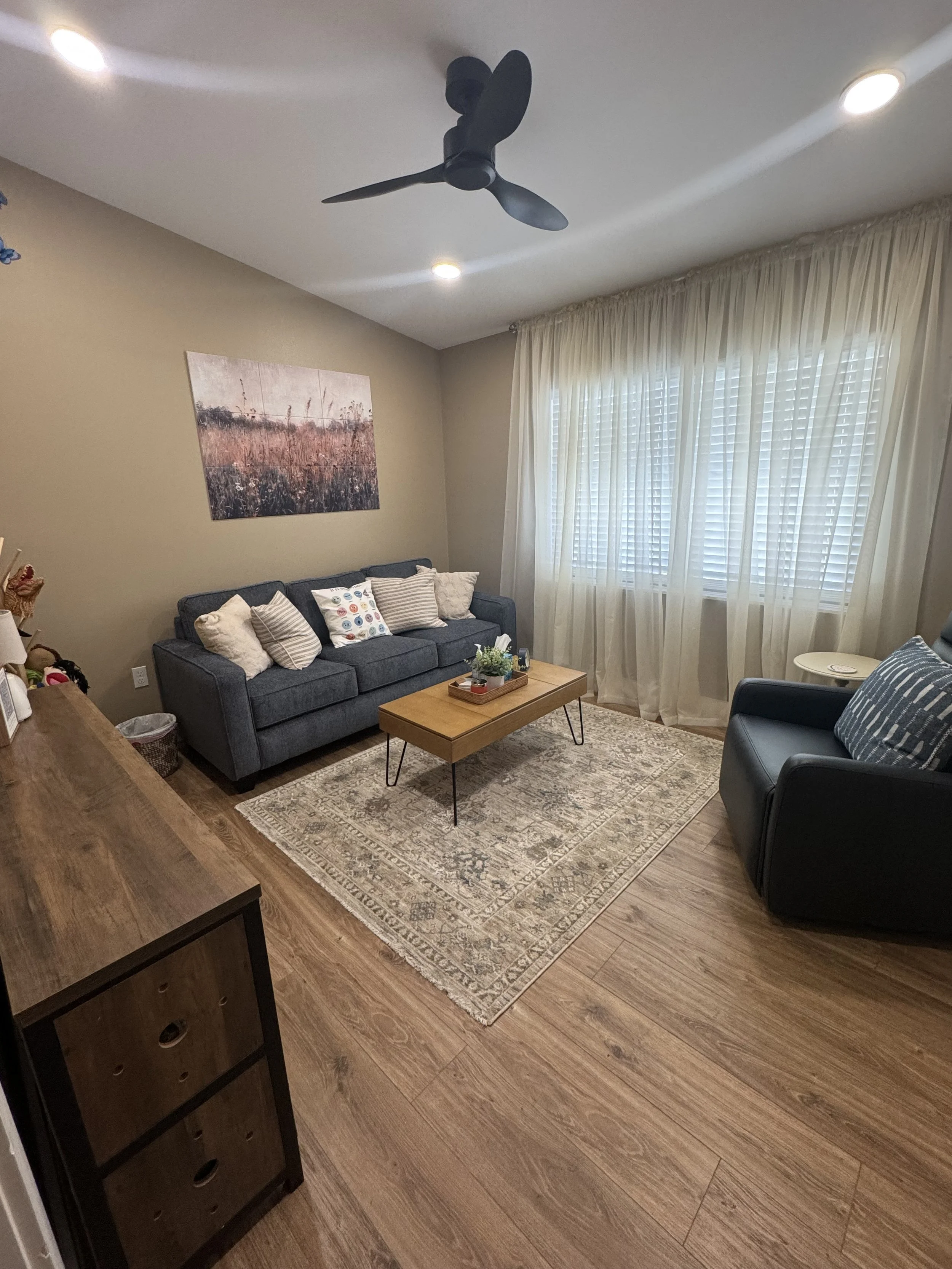 Boundless Hope Dade City, Florida - Individual and/or Play Therapy Room