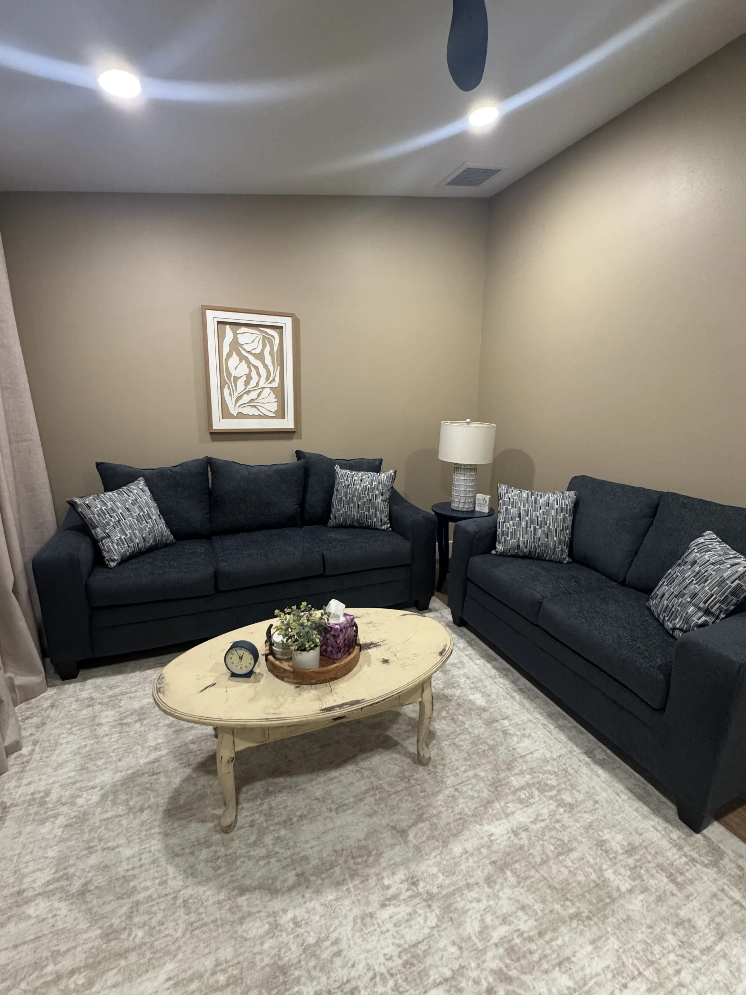 Boundless Hope Dade City, Florida - Individual or Family Therapy Room