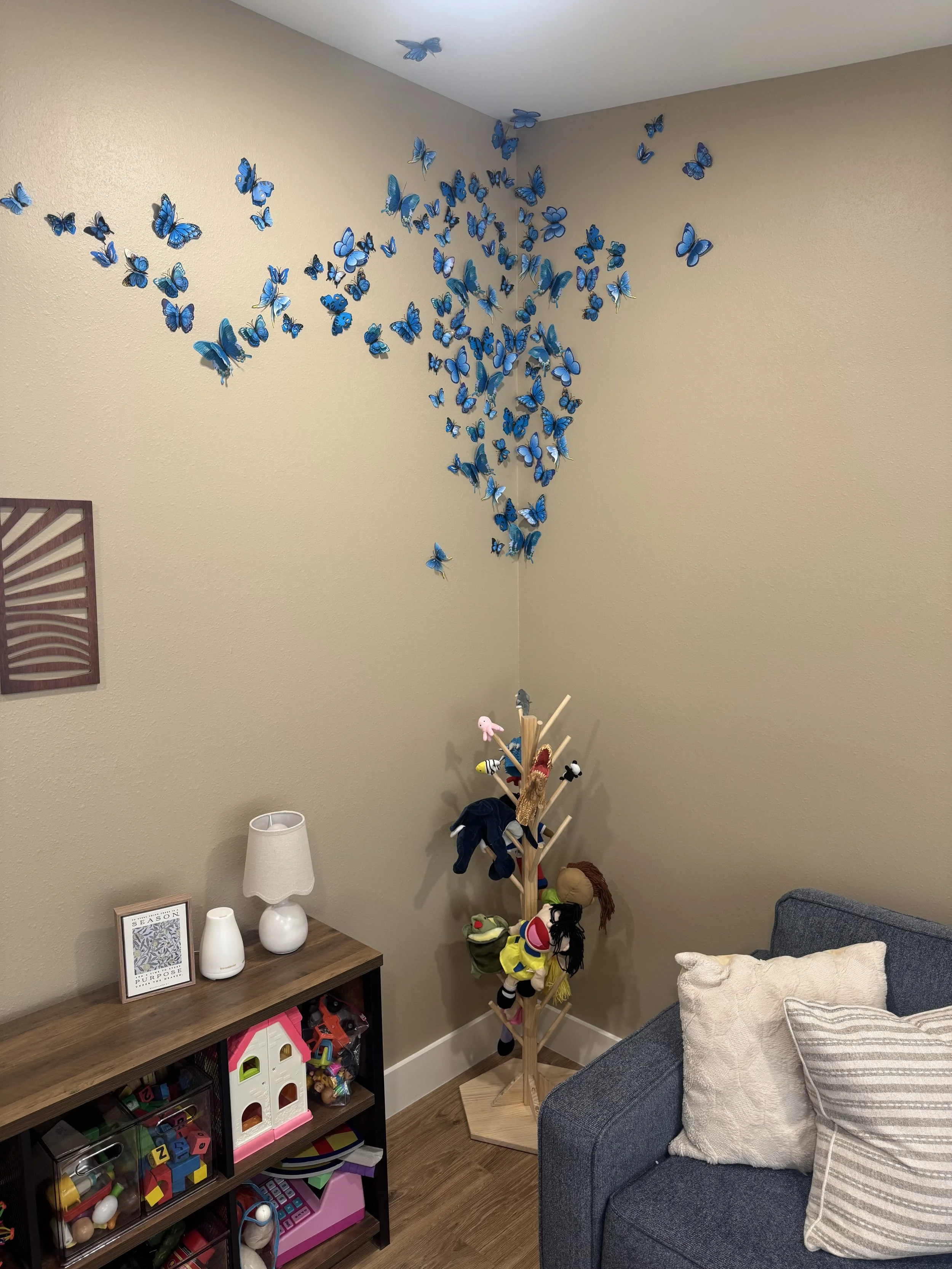 Boundless Hope Dade City, Florida - Individual and/or Play Therapy Room