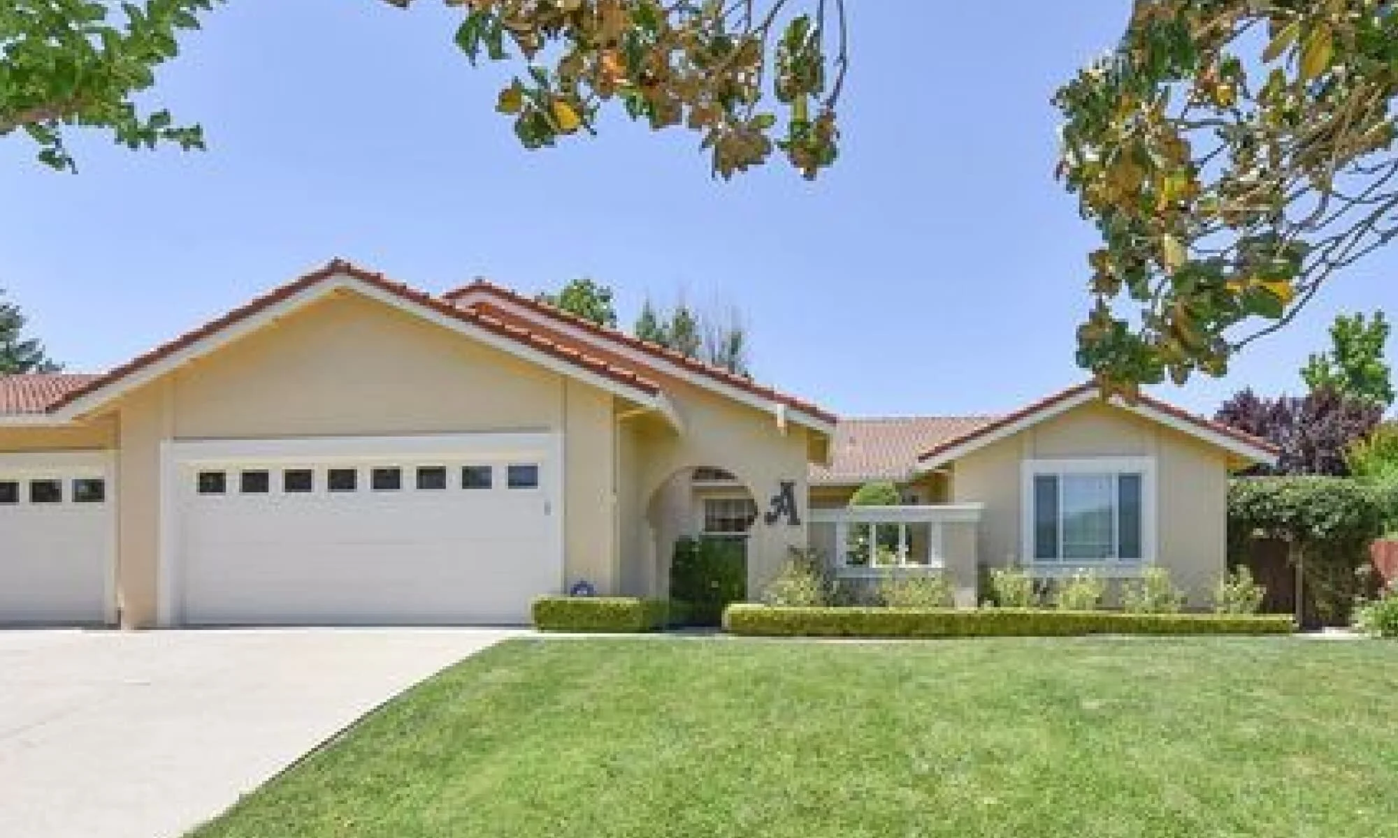 Miwok_Front.jpg