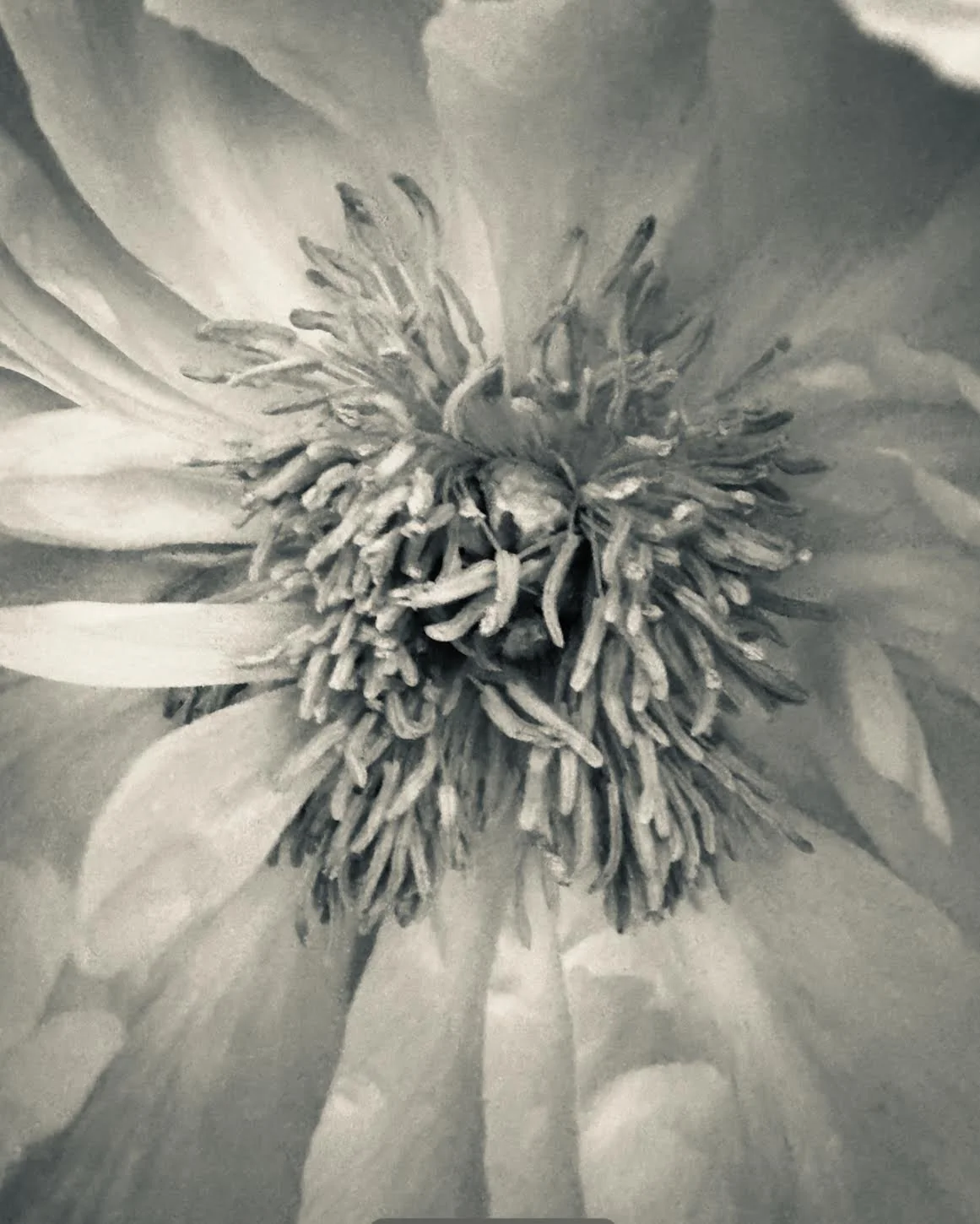 Light Code in infrared 