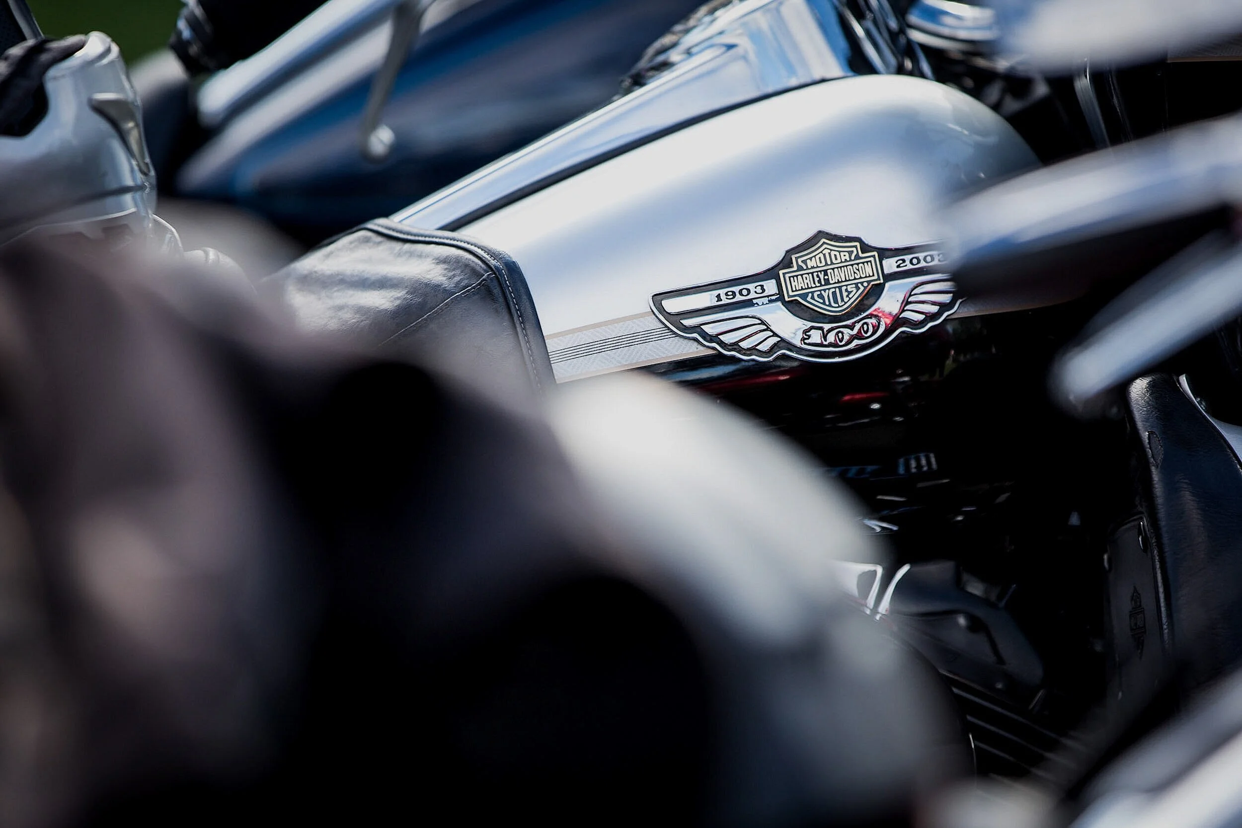 Close-up of a Harley-Davidson motorcycle fuel tank with emblem, surrounded by other motorcycles.