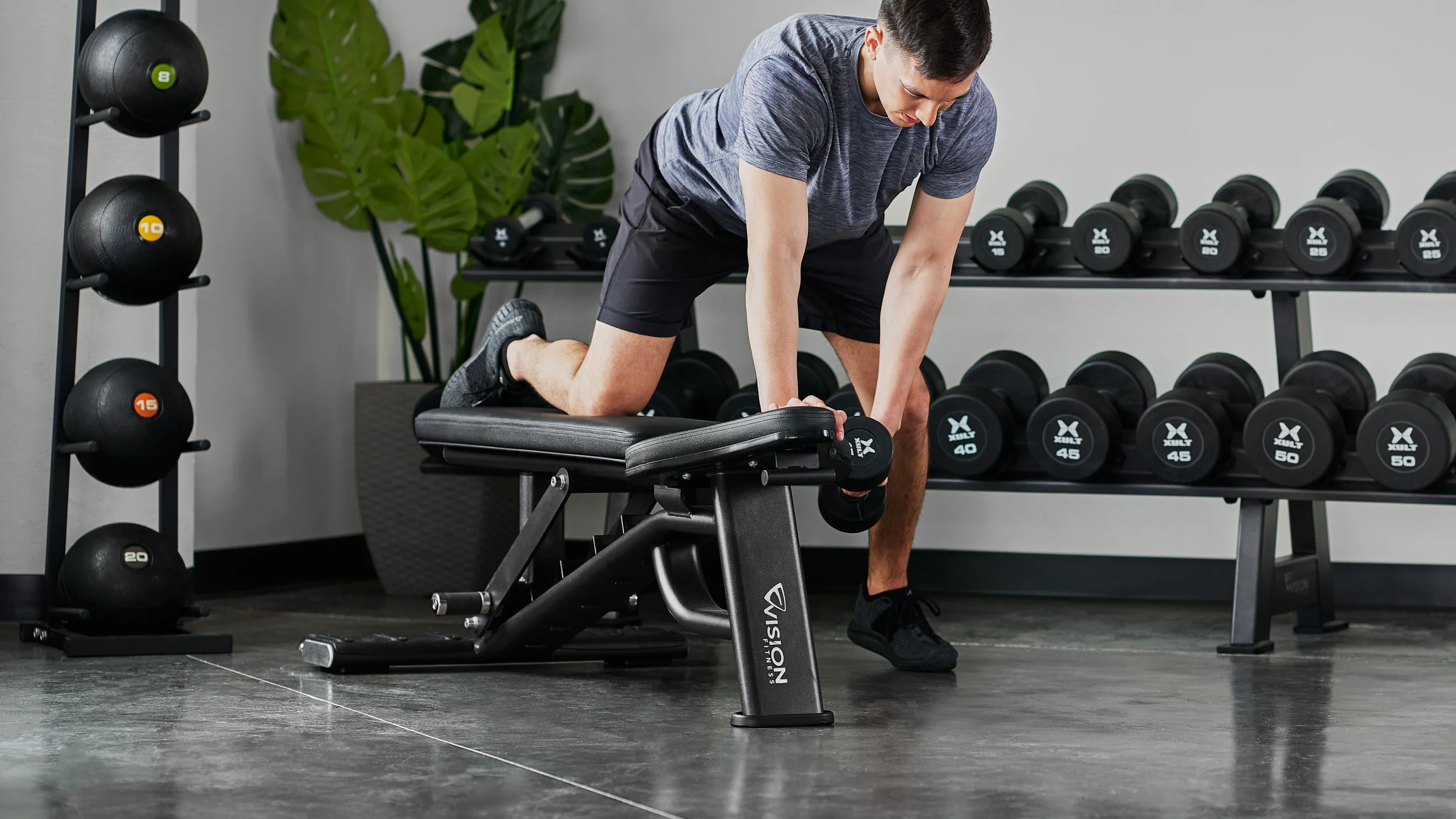 A man in athletic clothing uses a bench for a dumbbell exercise in a gym, with a rack of dumbbells and a large potted plant in the background.