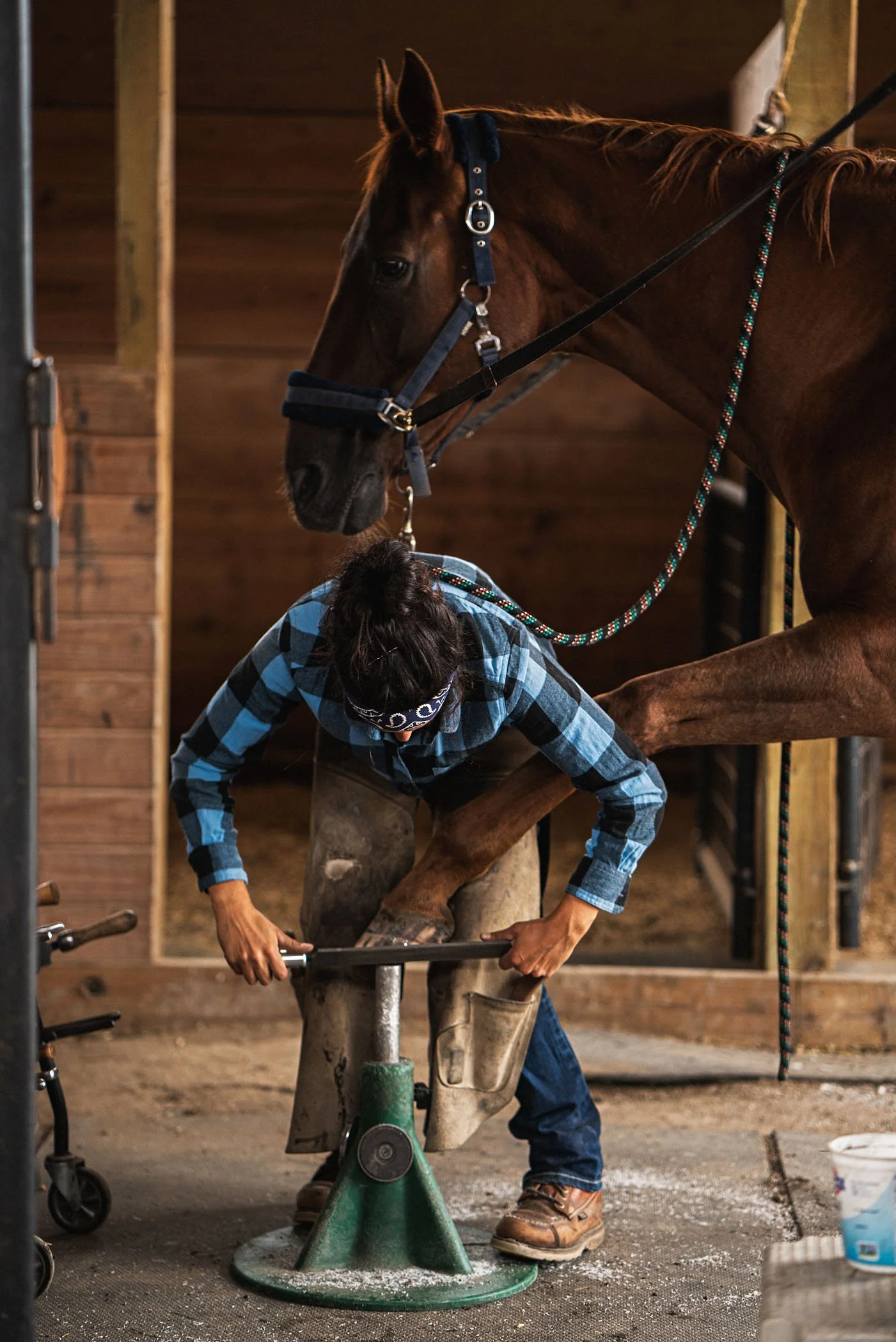 KS_16027_Farrier_Katryna_074.jpg