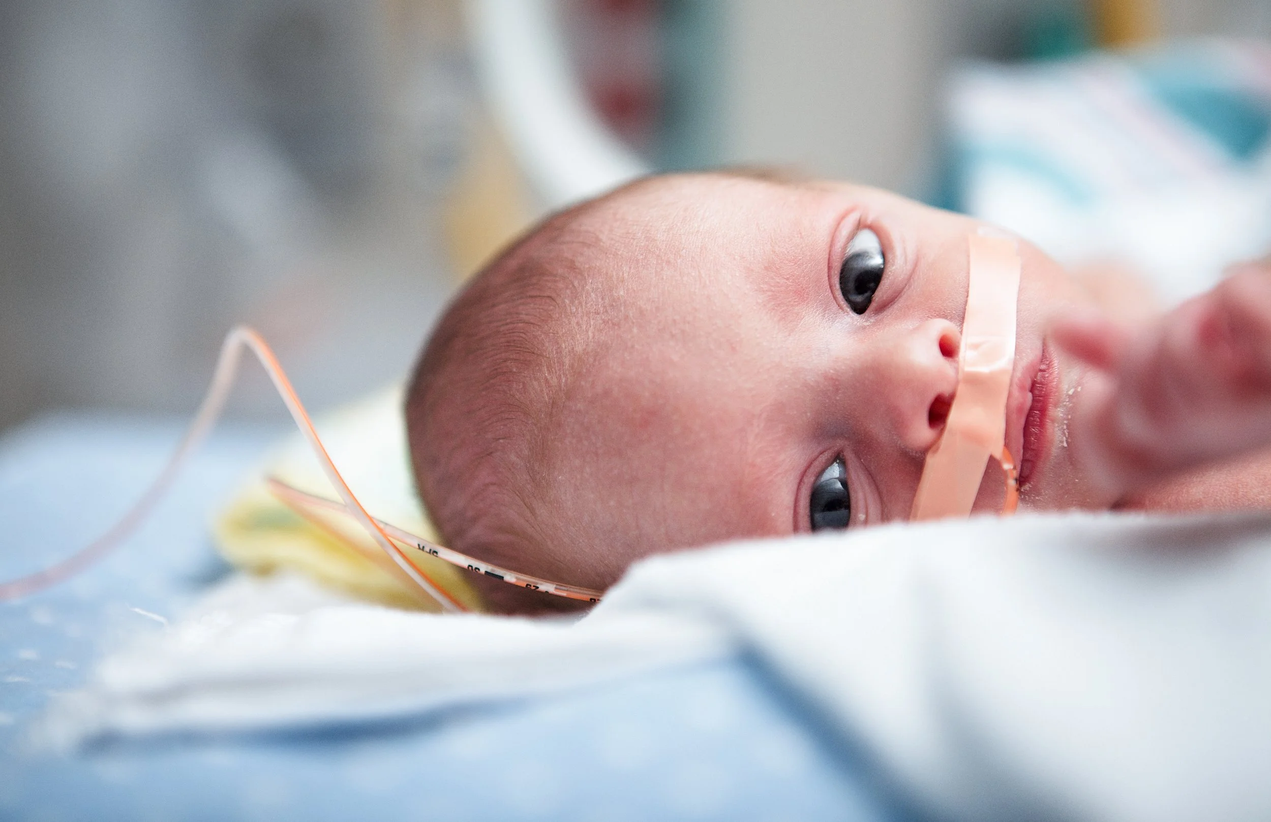 Premature newborn in NICU resting in incubator with nasal oxygen tube, making eye contact.  Option 2 — Slightly Warmer Tone: