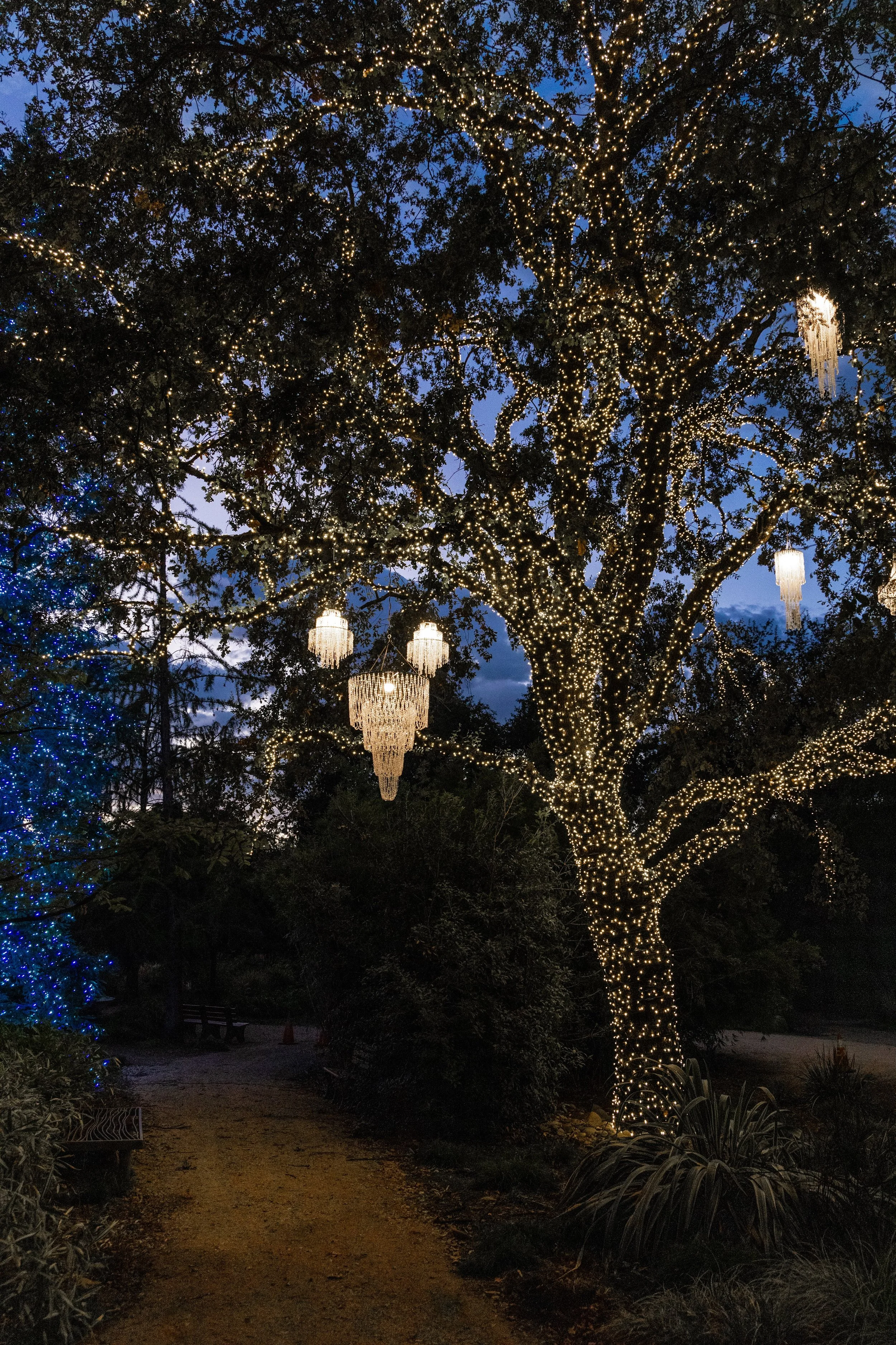 Turtle Bay Redding Garden of Lights Enchanted Forest2.jpg