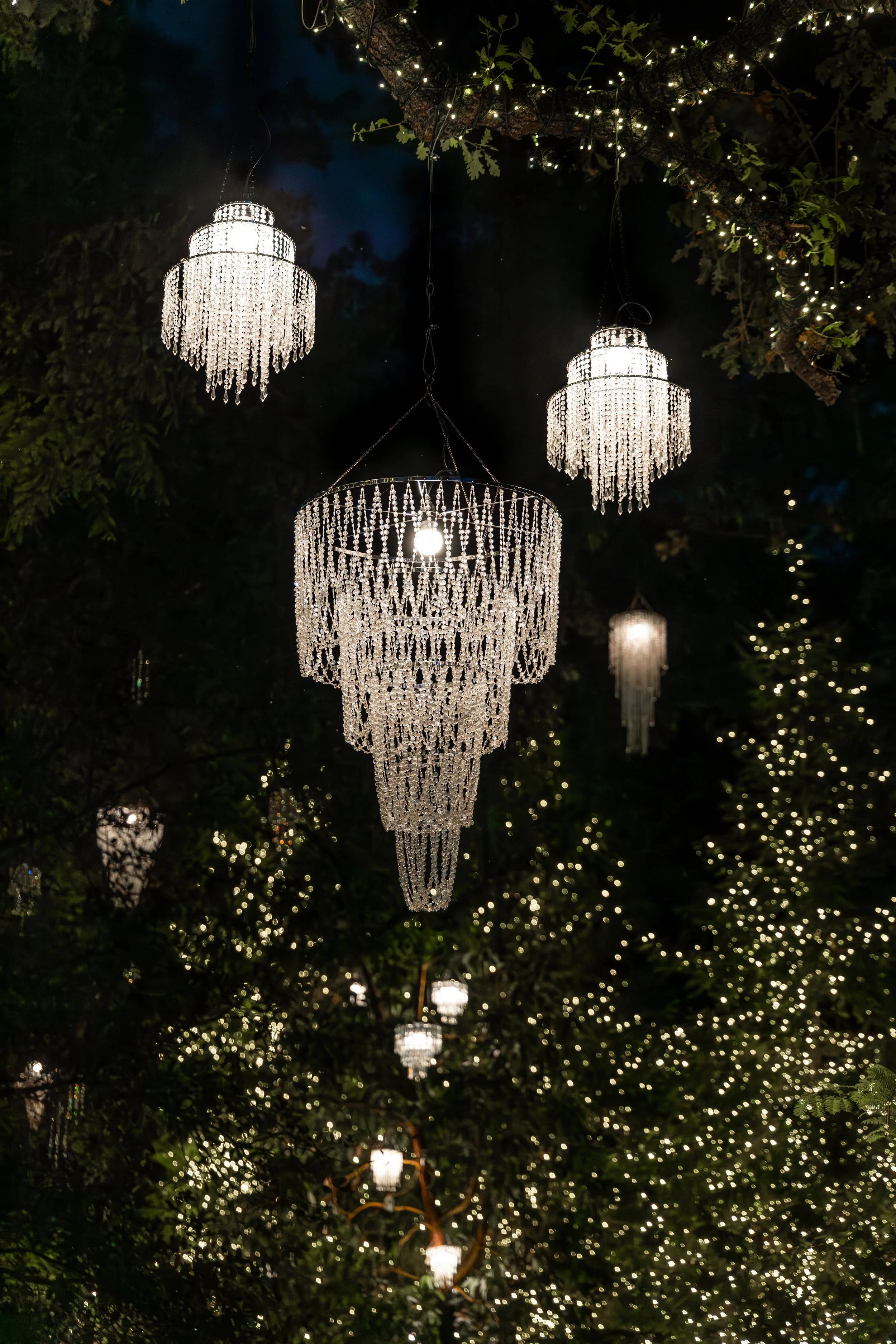 Turtle Bay Redding Garden of Lights Enchanted Forest4.jpg