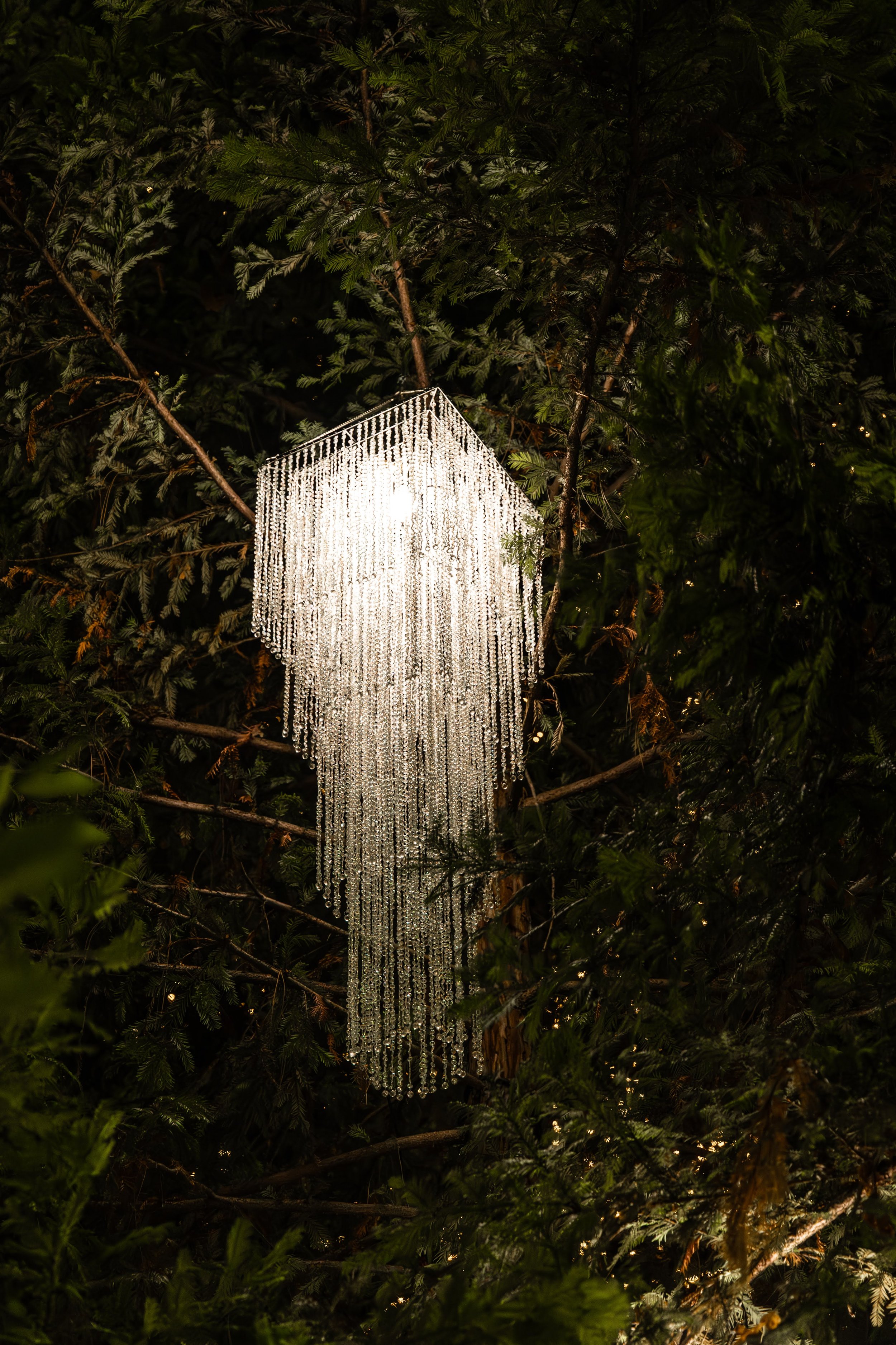 Turtle Bay Redding Garden of Lights Enchanted Forest16.jpg