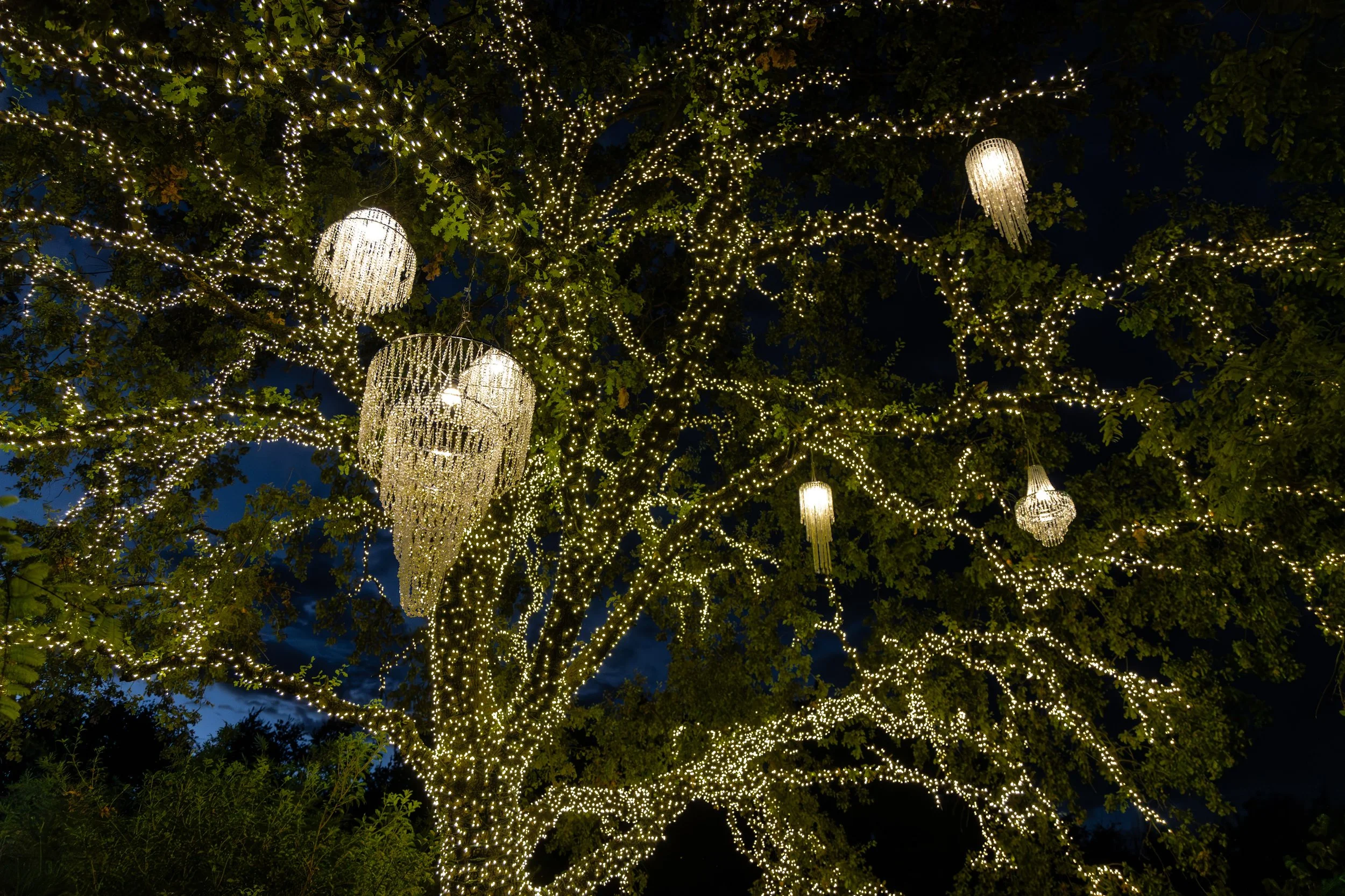 Turtle Bay Redding Garden of Lights Enchanted Forest3.jpg