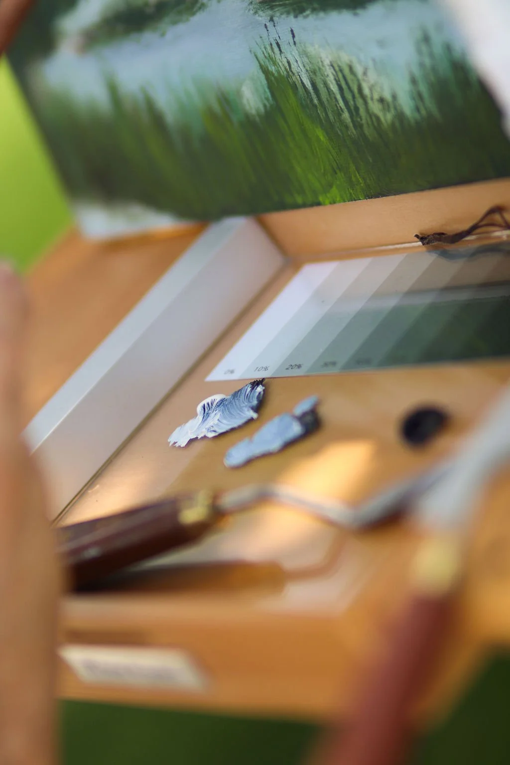 A photograph of paint and paint brushes from artist Diana Paxton