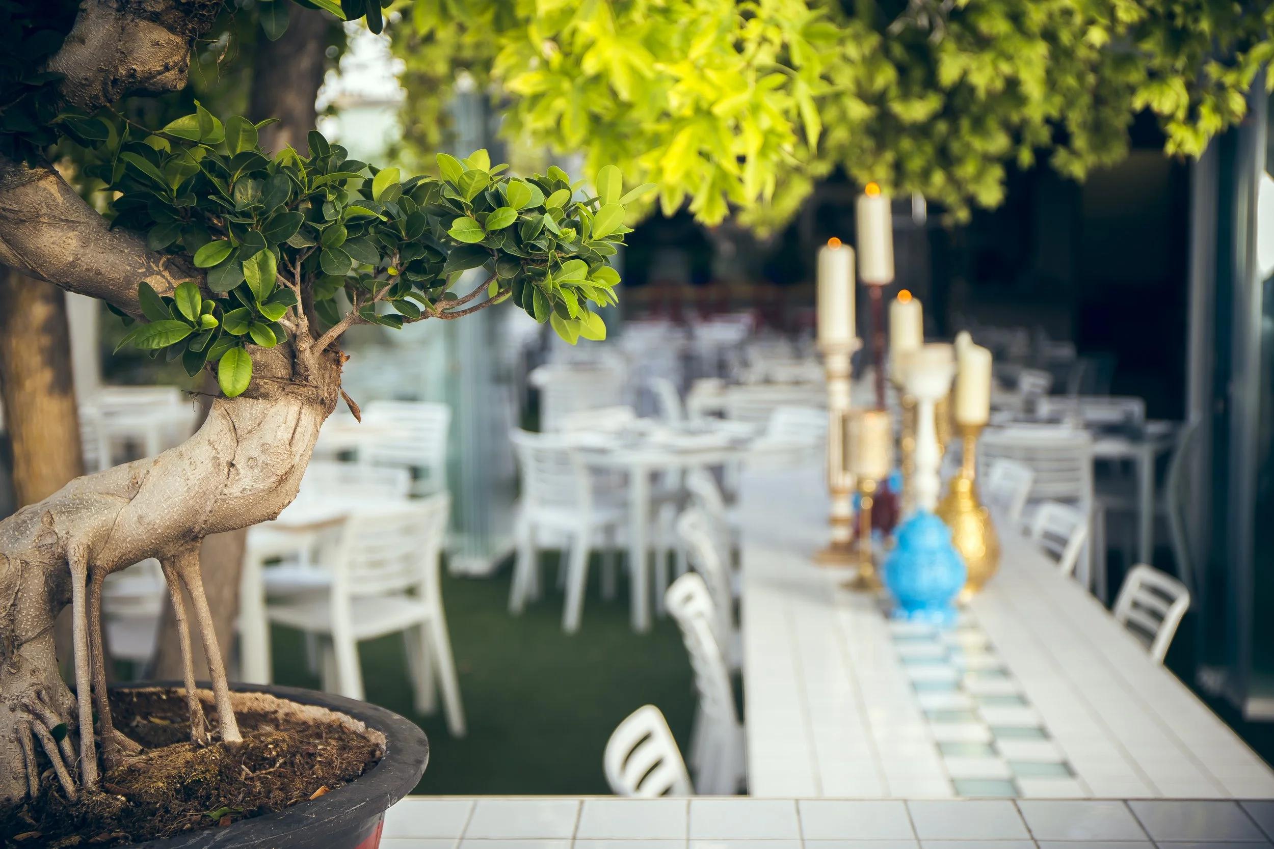 Restaurante japonés, proyecto de interiorismo 