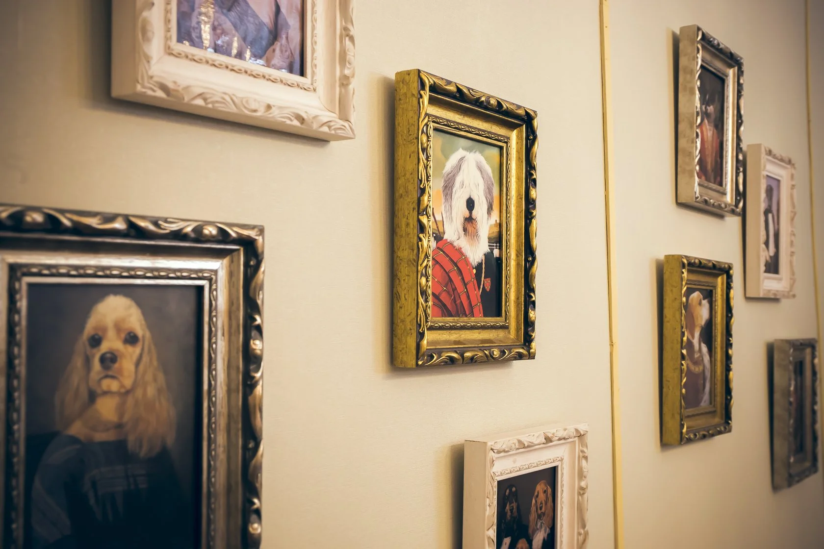 Restaurante cocina fusión 