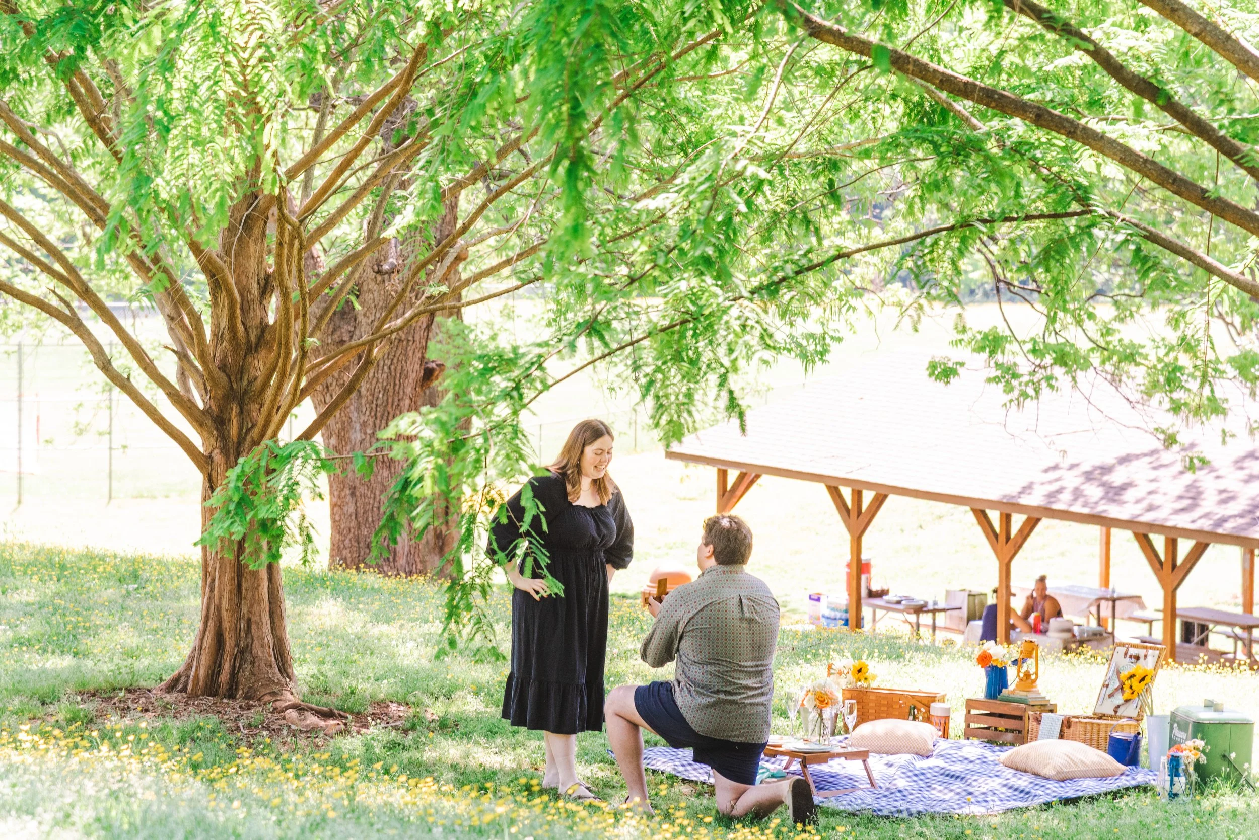 Spring Picnic Proposal in Raleigh Park — SOUTHERN PICNICS