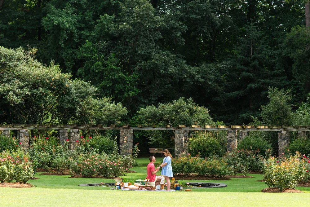 Summer Picnic Proposal at the Raleigh Rose Garden — SOUTHERN PICNICS