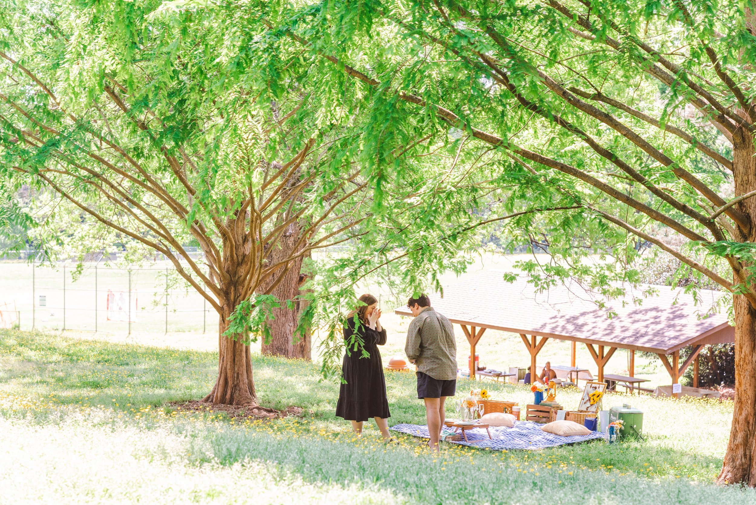 Spring Picnic Proposal in Raleigh Park — SOUTHERN PICNICS