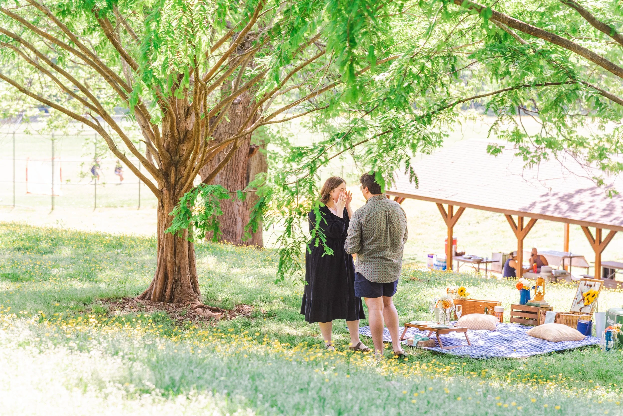 Spring Picnic Proposal in Raleigh Park — SOUTHERN PICNICS