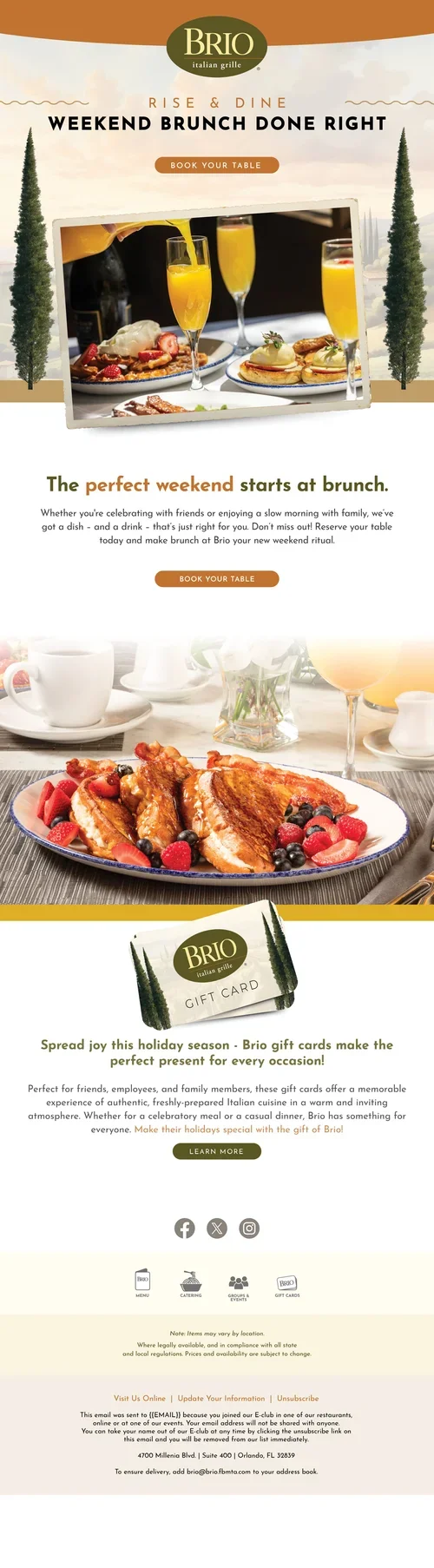 20240928_brio_brunch_.jpg.webp