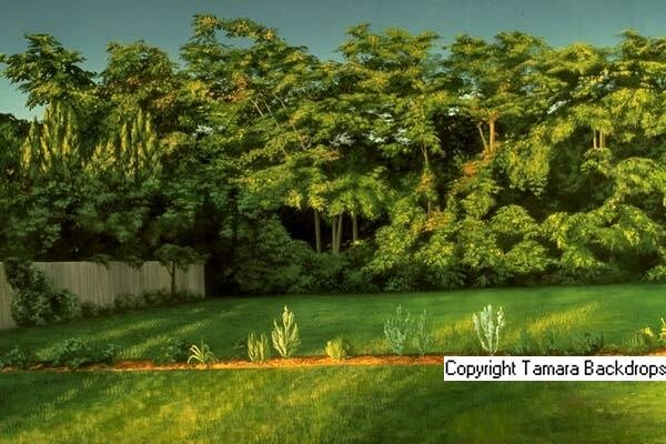 107L - Backyard with Trees - 10'x16' [OUT FOR RENTAL]