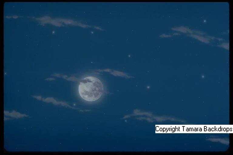 063S - Night Sky with Moon - TABLETOP 6'x6.5'