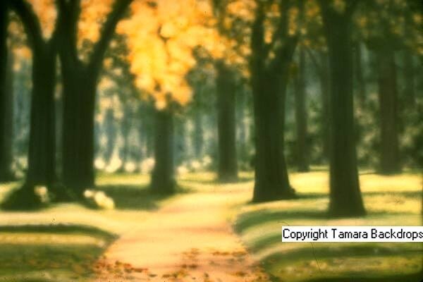 084L - Park Scene Out of Focus - 12'x15'