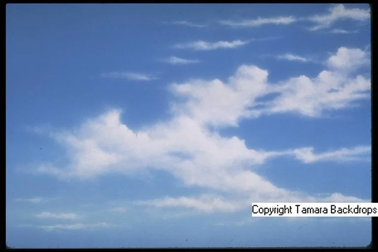 110S - Dog Blue Sky - 12'x12'6"