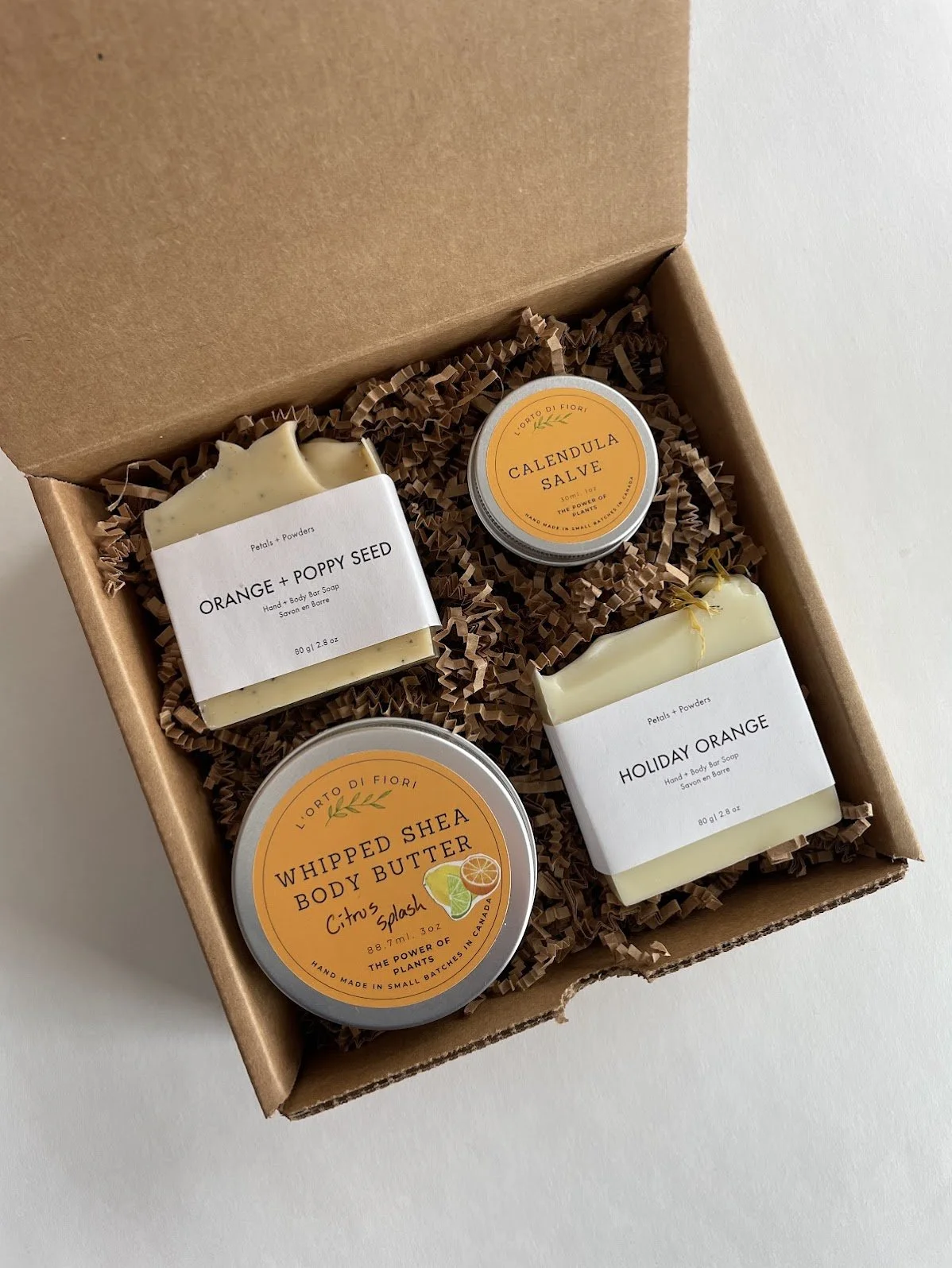 shea + salve.jpg