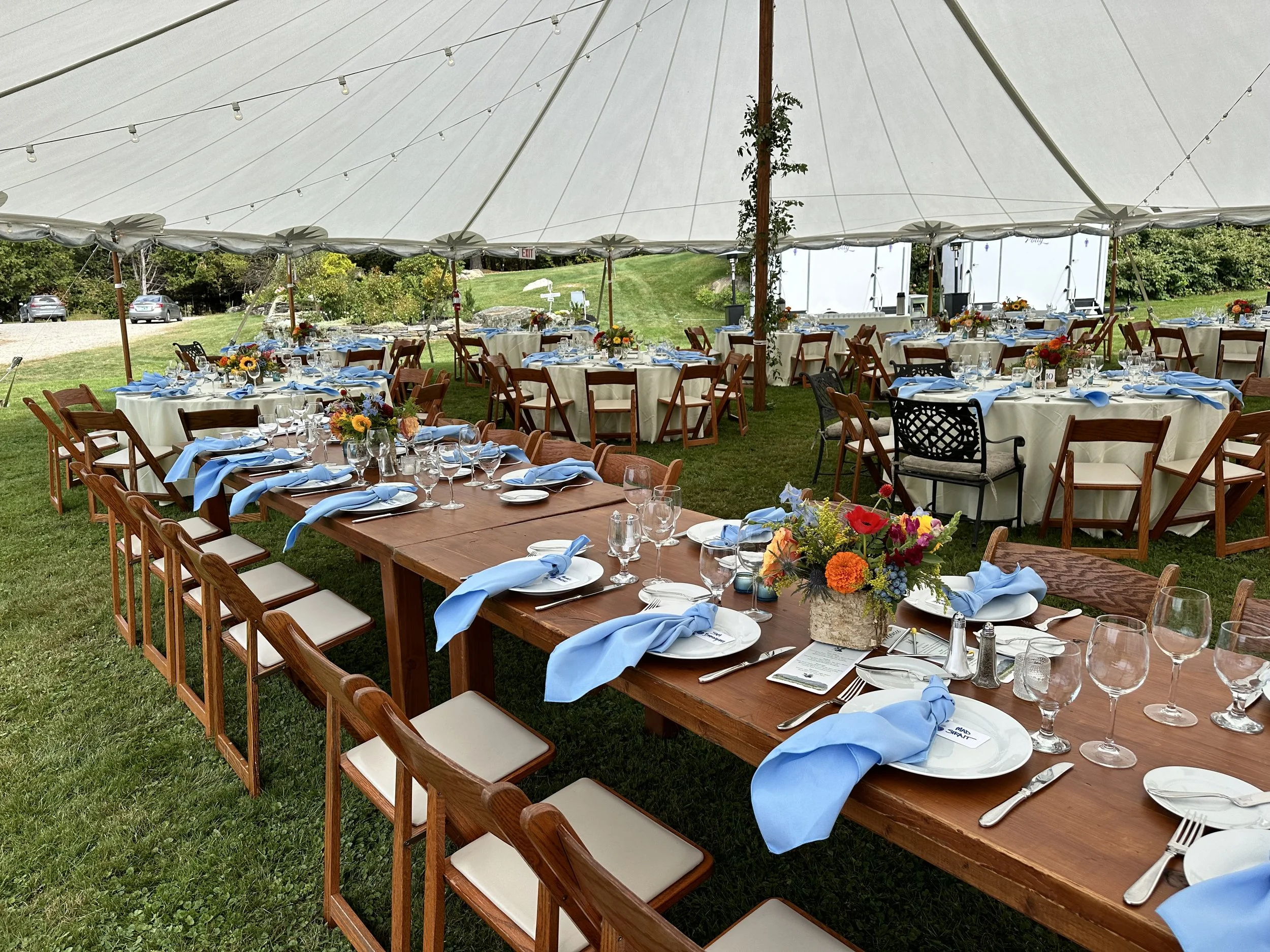 main field table.jpeg