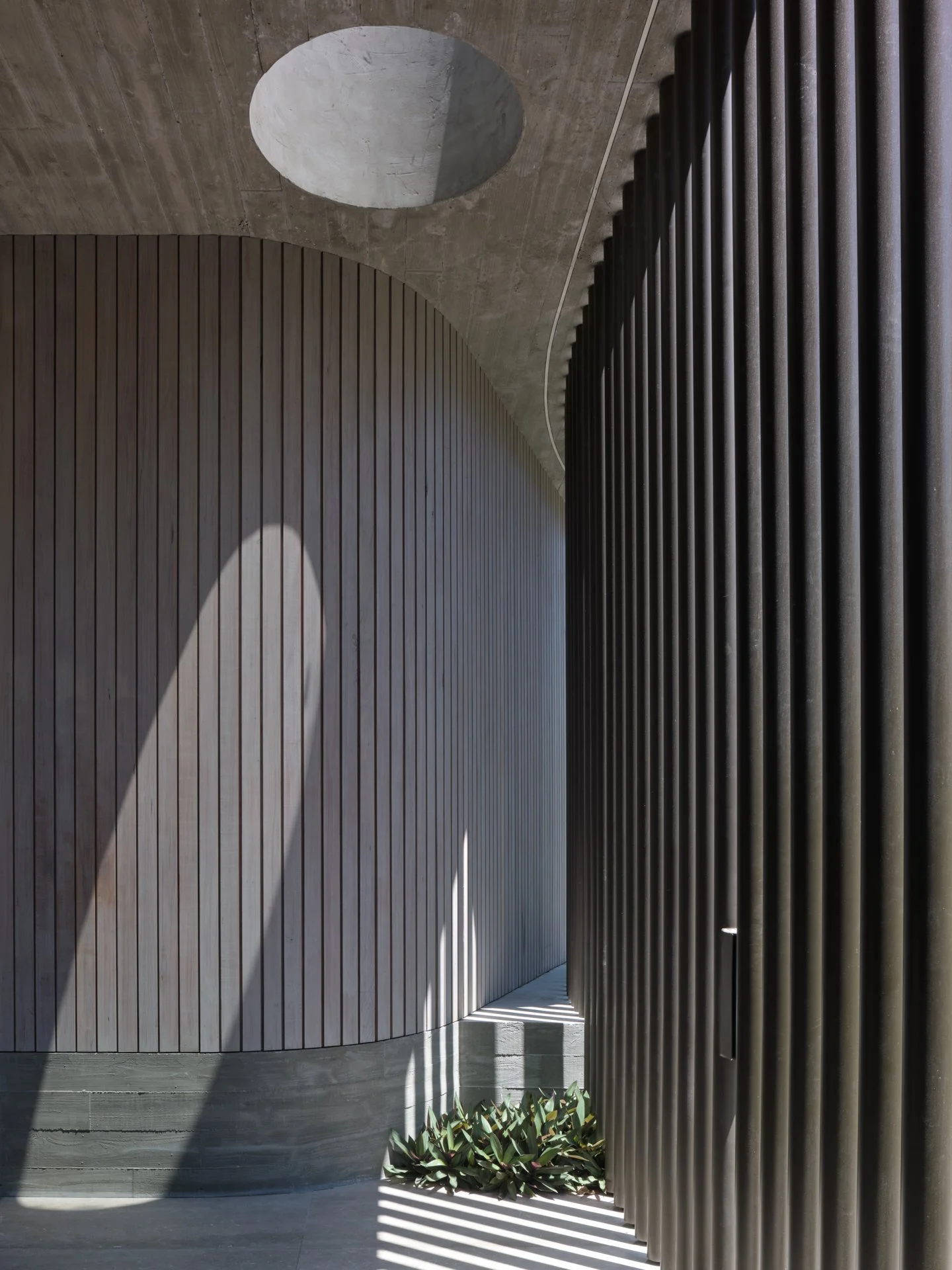 ©CFJ_Moray Street-07.jpeg