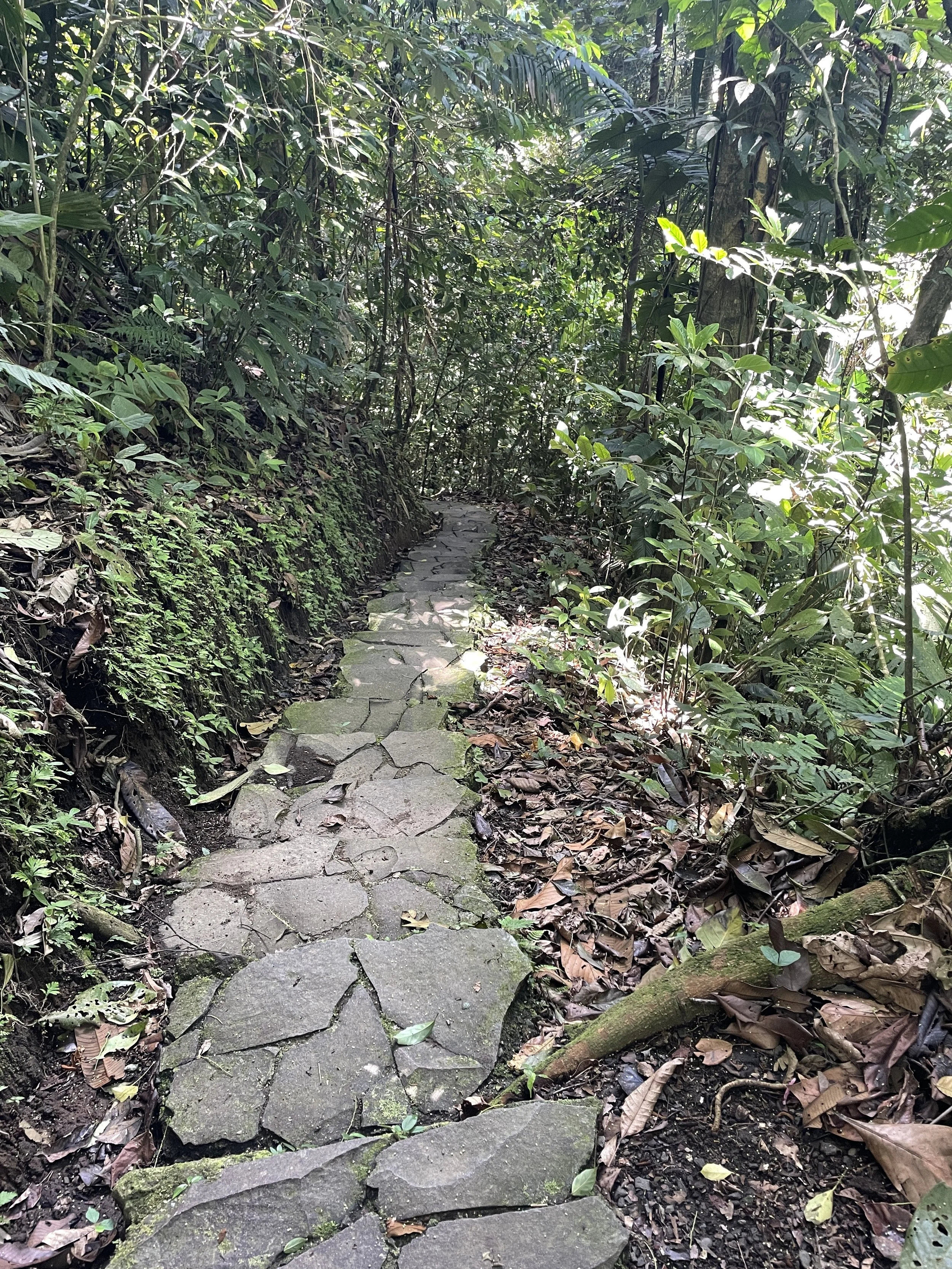  Flashback to the Inca Trail….steps, steps and more steps.  Although the Inca Trails steps went on for days and were much bigger.  Even though it’s been a couple years since my trek in Peru, I am planning a blog post soon as it was an absolute advent