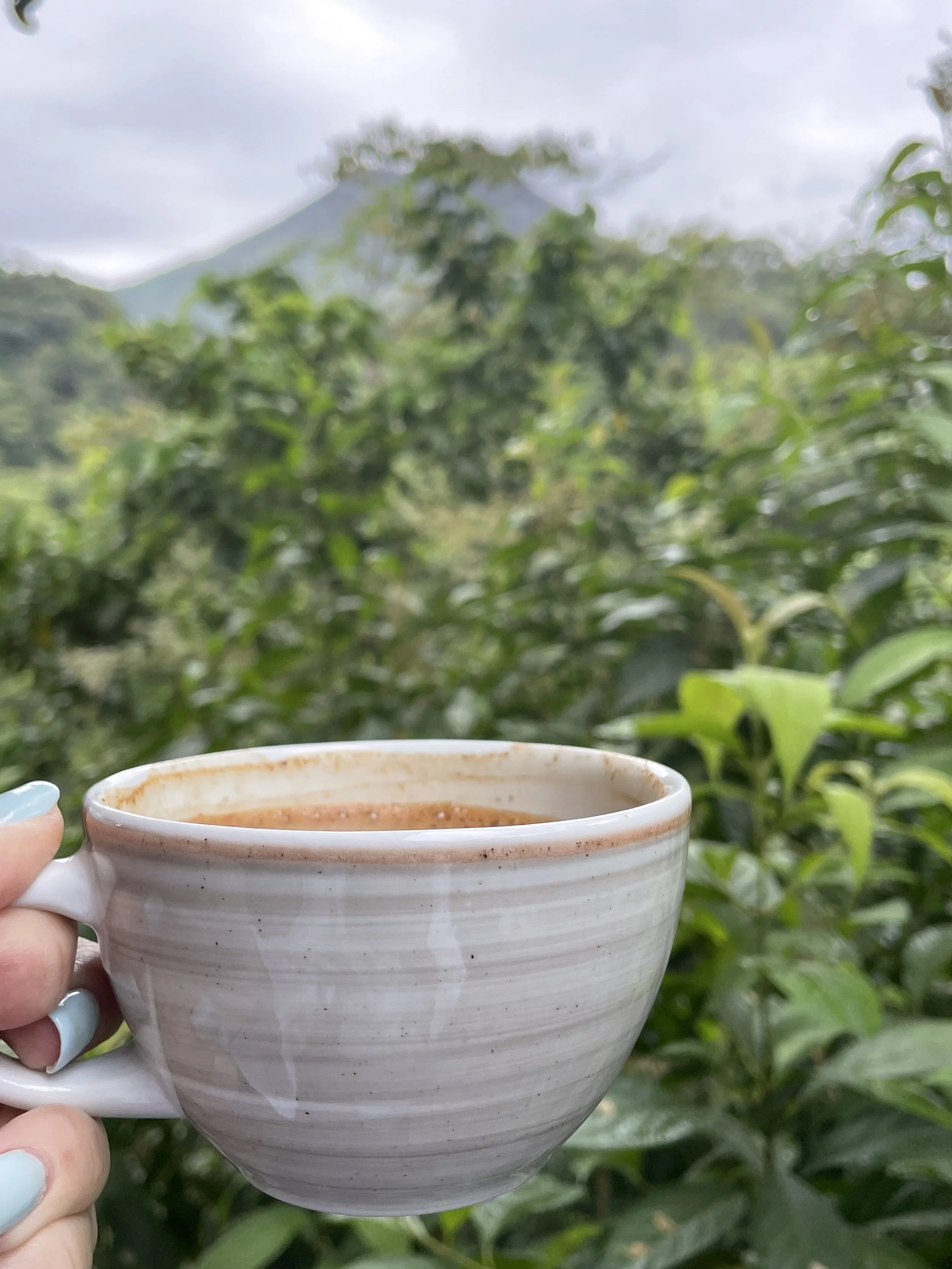  Ahhh….good morning…jungle sounds, volcano and yummy Costa Rican coffee in my robe. 