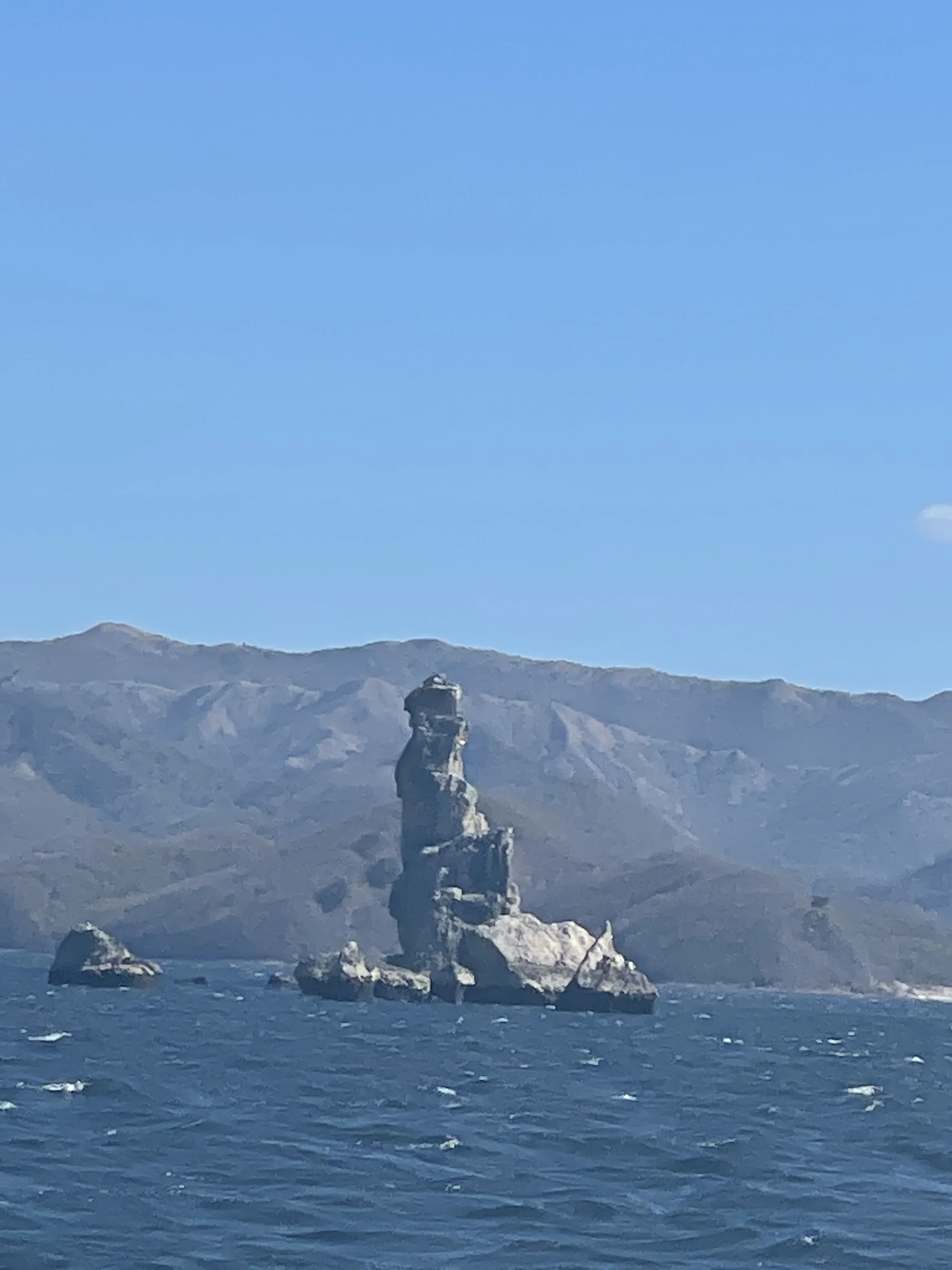 4E793E08-0E00-4A51-B833-3A62E115848E.jpeg