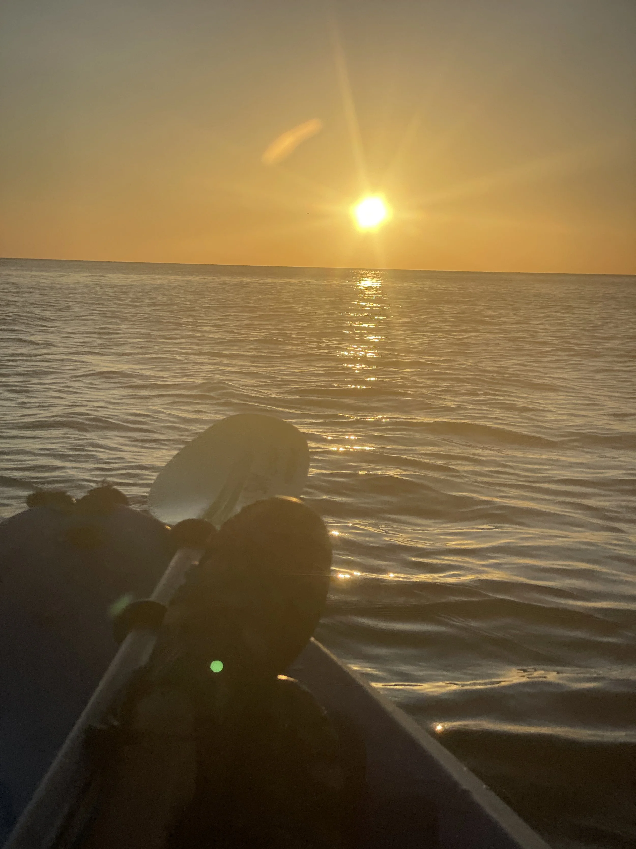  Sunset kayak  