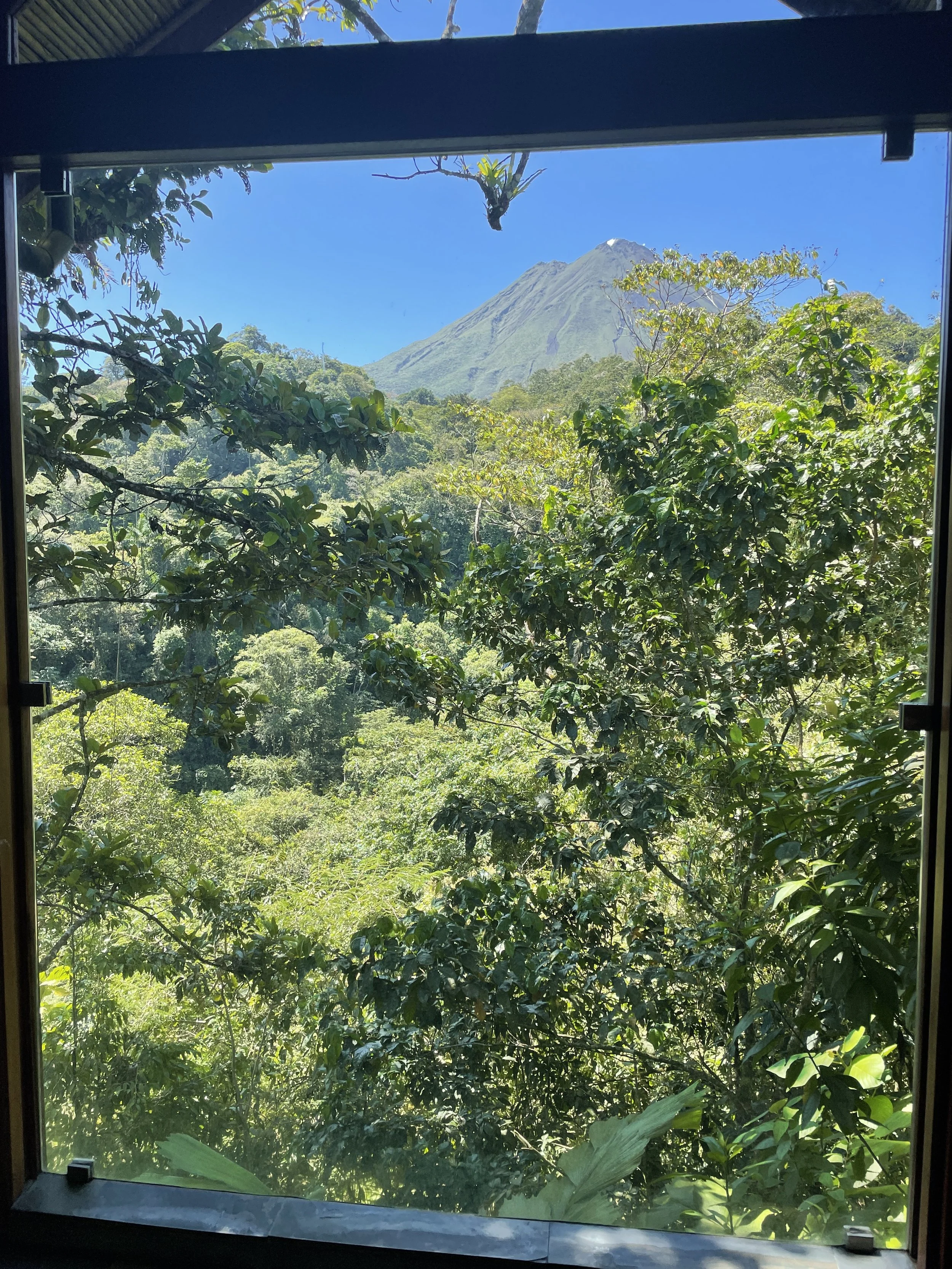  View from our shower 