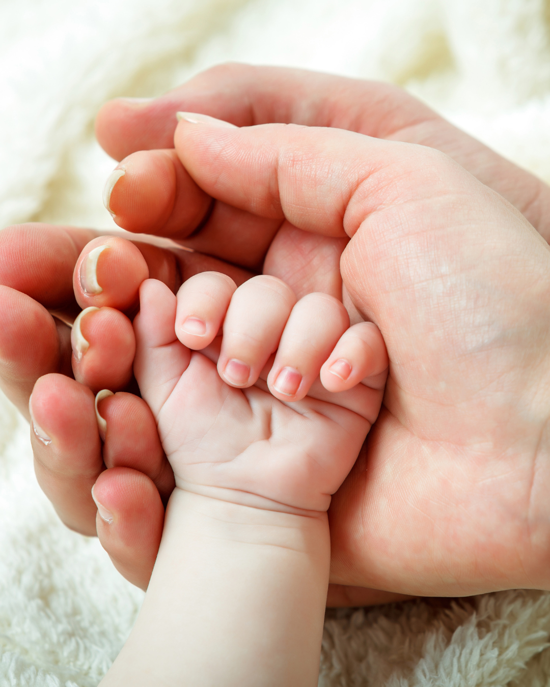 Annual Way Maker Women's Center Banquet