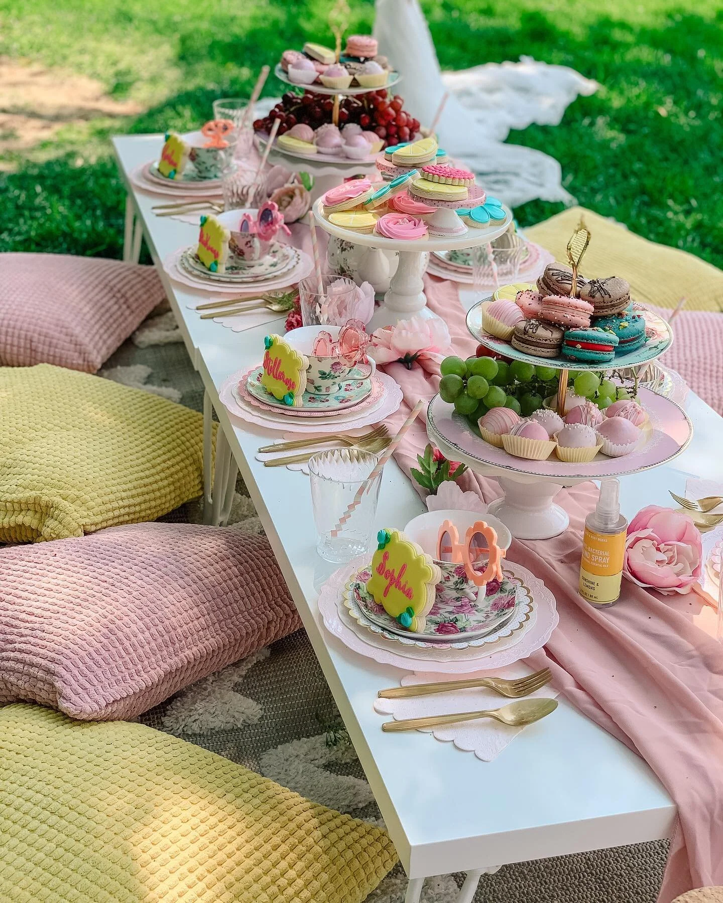 What a FUN 🎉 and hot day 🥵
END OF SUMMER TEA PARTY PICNIC for theses gals was just what we needed! Celebrating friendship✨
It was so great to collaborate with @the_lex_luxexperience — another Mtn House mom who is also hustling like me. Foll