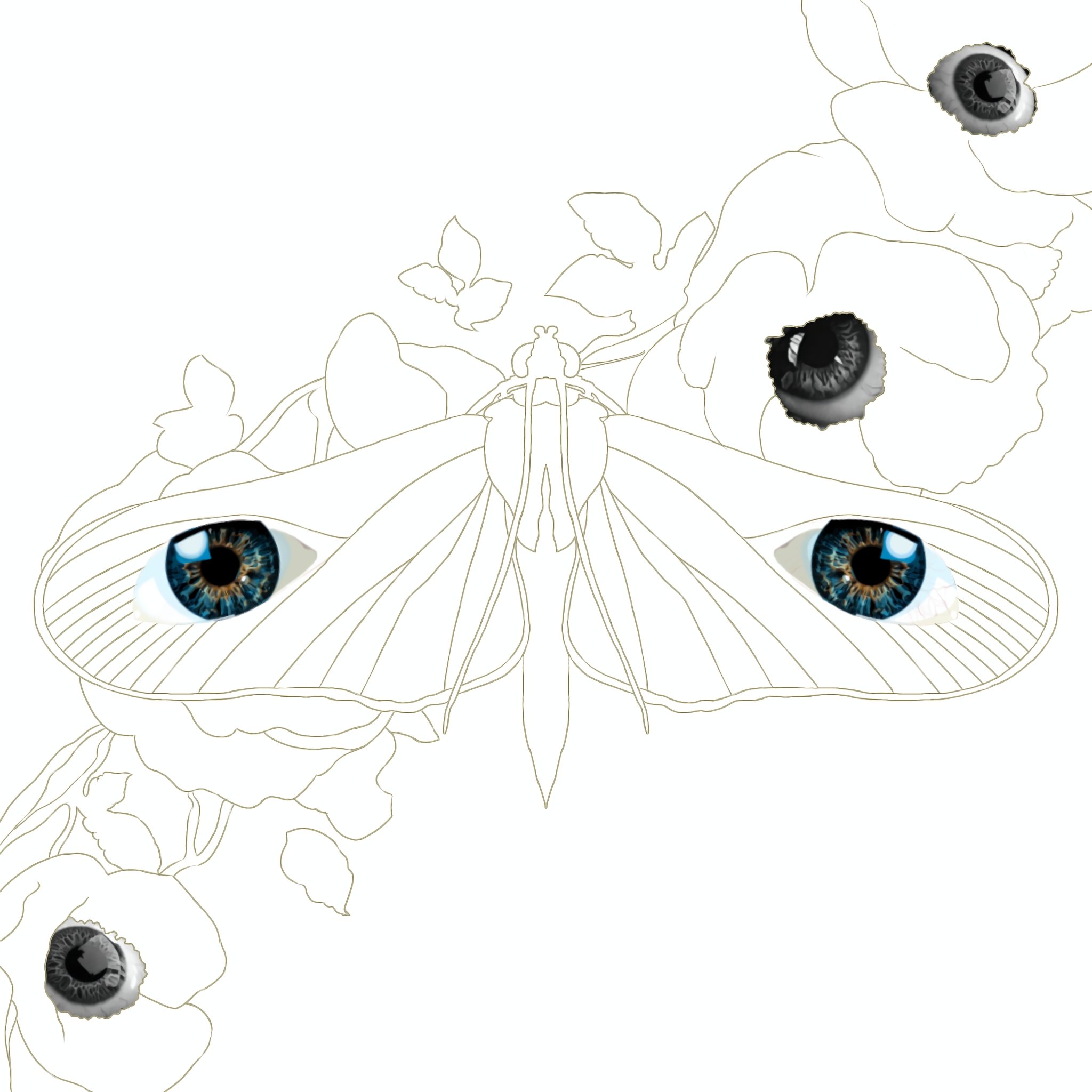 Mariposa_20251029182326.JPG