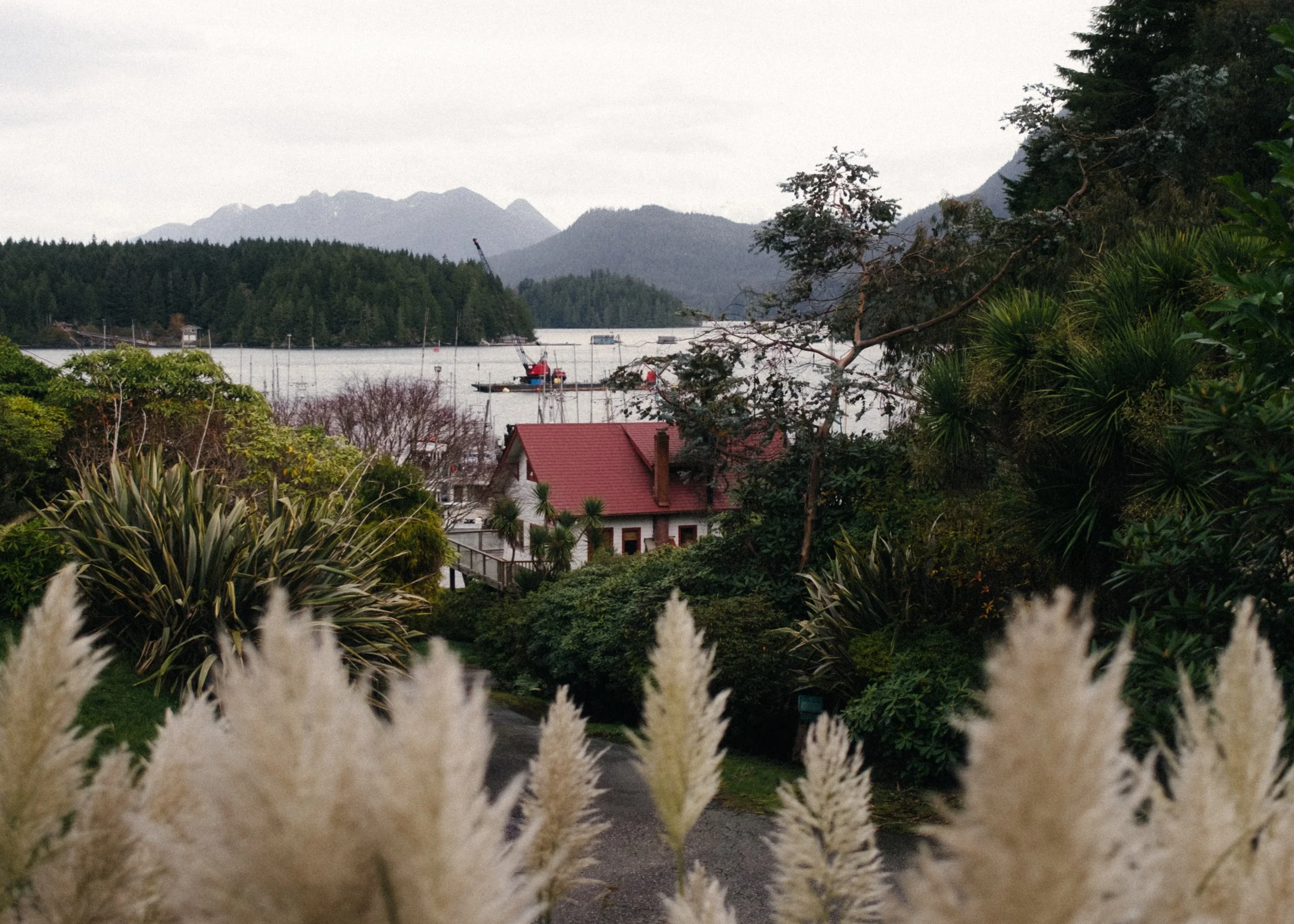 HOW TO SPEND A WEEKEND IN TOFINO, BC — Hearts of Canada