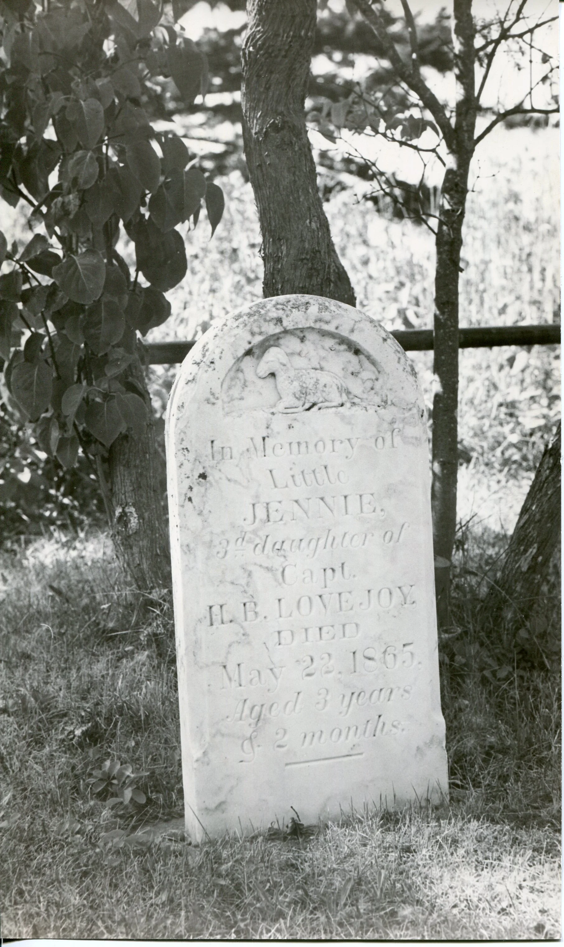 Pioneer Ties to Revolutionary War Veterans