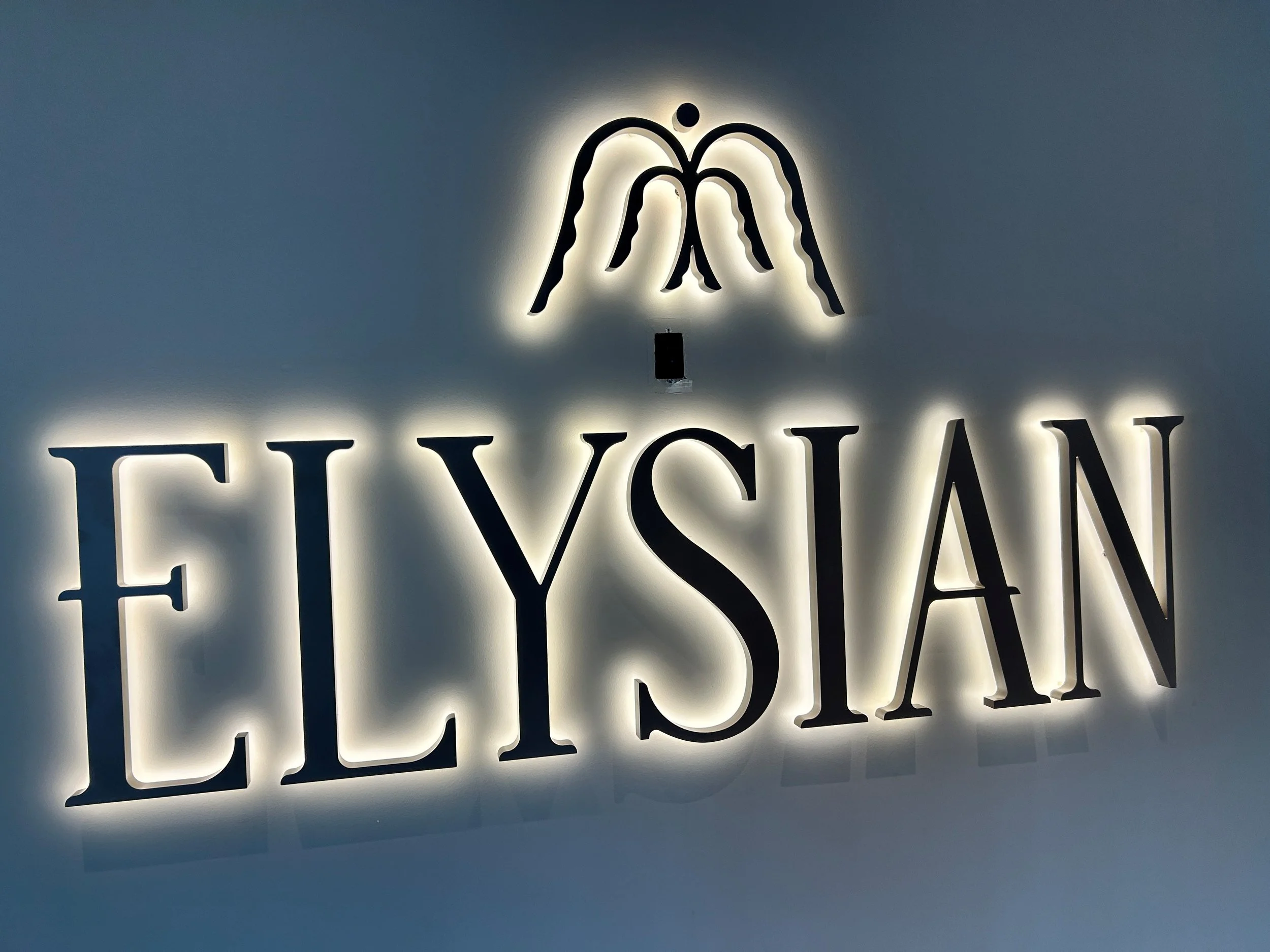 Installation - Elysian.jpg