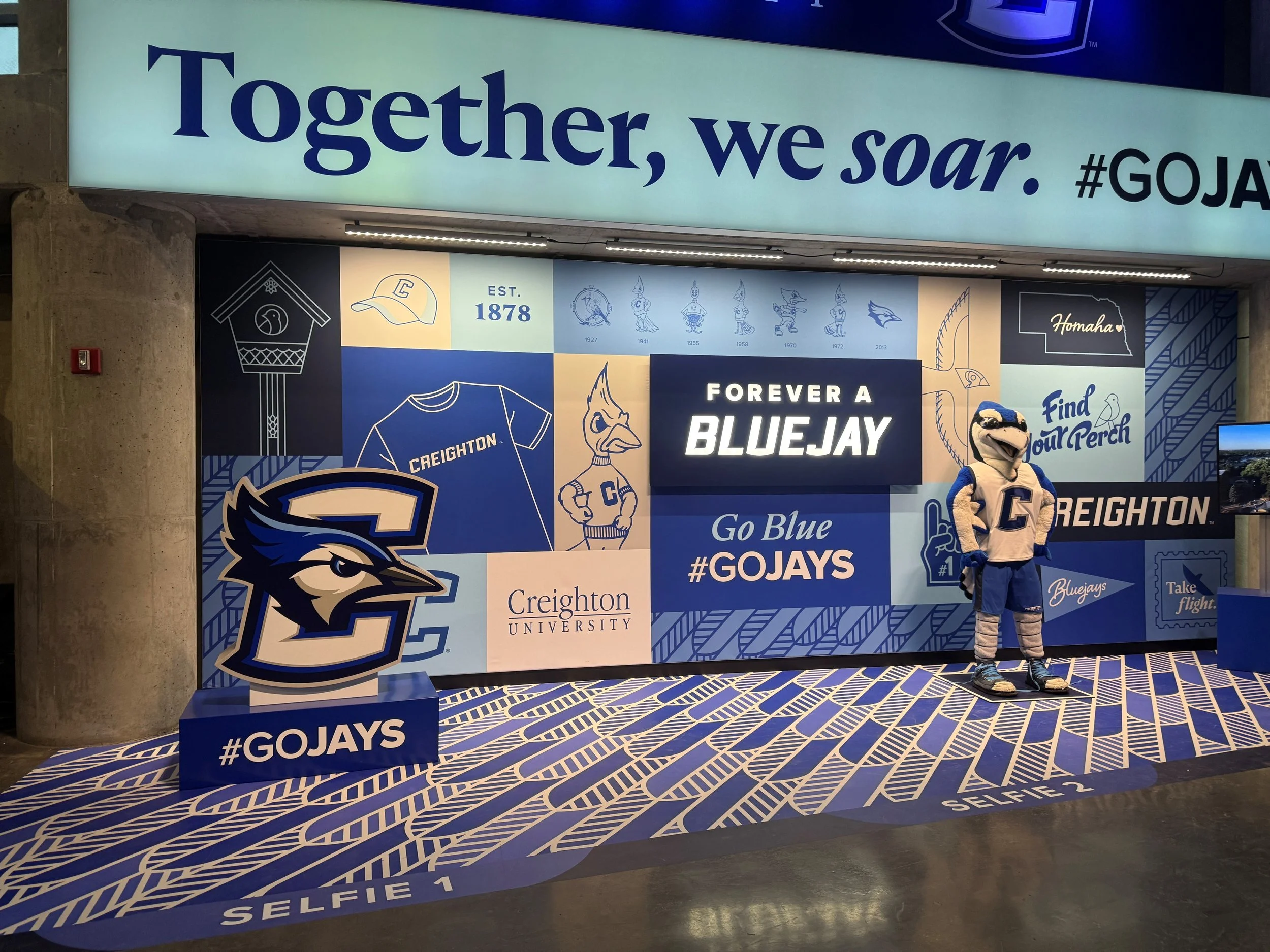 Fabrication - Bluejay.jpg