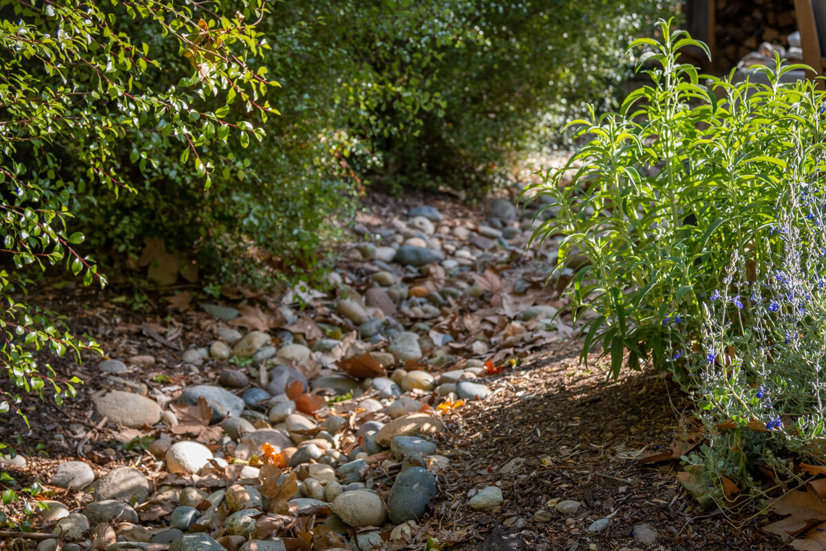 All these water-saving elements bring more water to a multi-colored pallet of native and pollinator friendly flowers, trees, and shrubs. A rain garden keeps moisture in the ground longer, helping temperatures stay cooler during the hot summer months