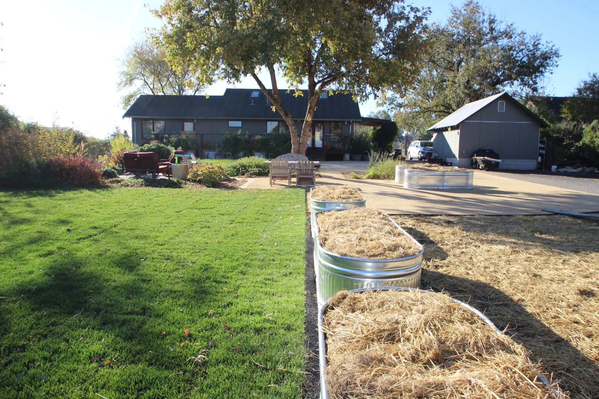 A yard with a green lawn on the left and a garden bed with straw-covered soil on the right, separated by a narrow pathway. There are metal garden beds filled with straw on the right side, and a large tree with green and yellow leaves. In the background, a house with a black roof and a small shed are visible, along with outdoor furniture and a parked trailer.