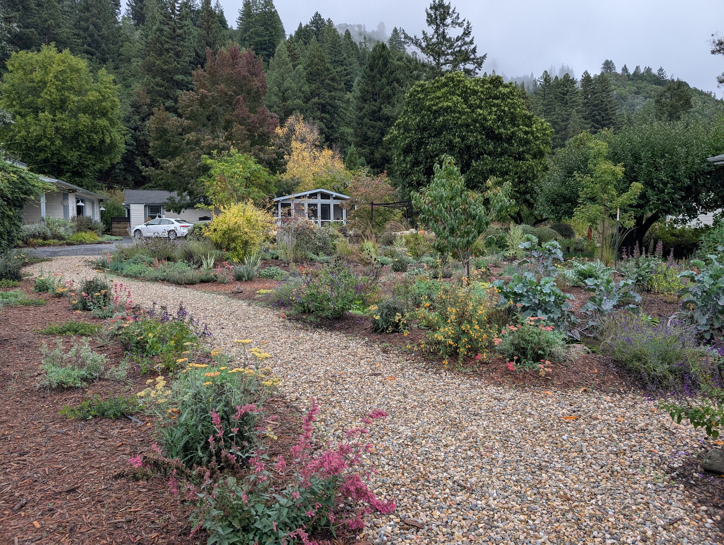 A gravel pathway runs through a lush garden with various plants and flowers, with houses and a forested hillside in the background.