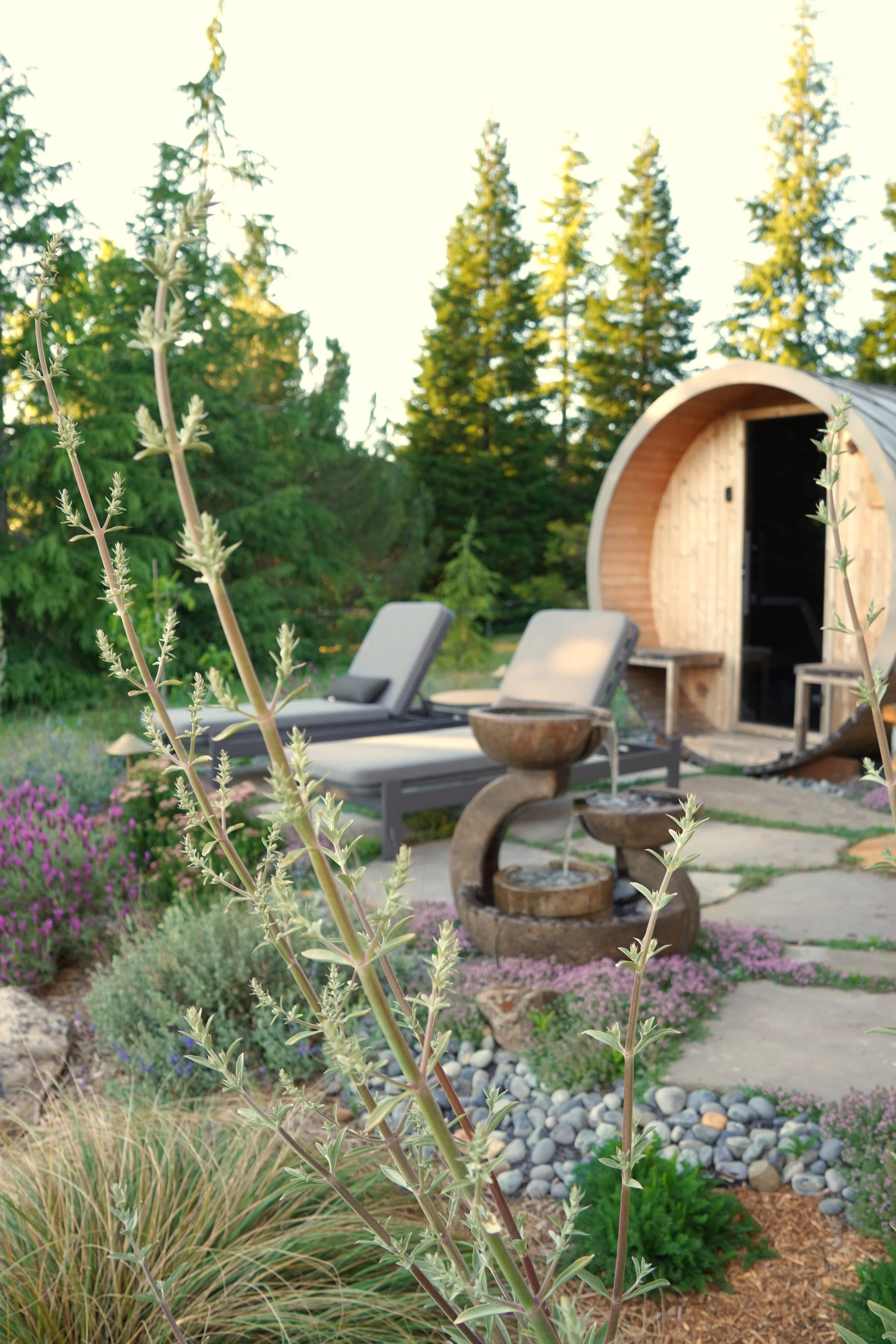 A backyard garden area with lounge chairs, a wooden aqua pod sauna, and decorative plants, surrounded by evergreen trees.