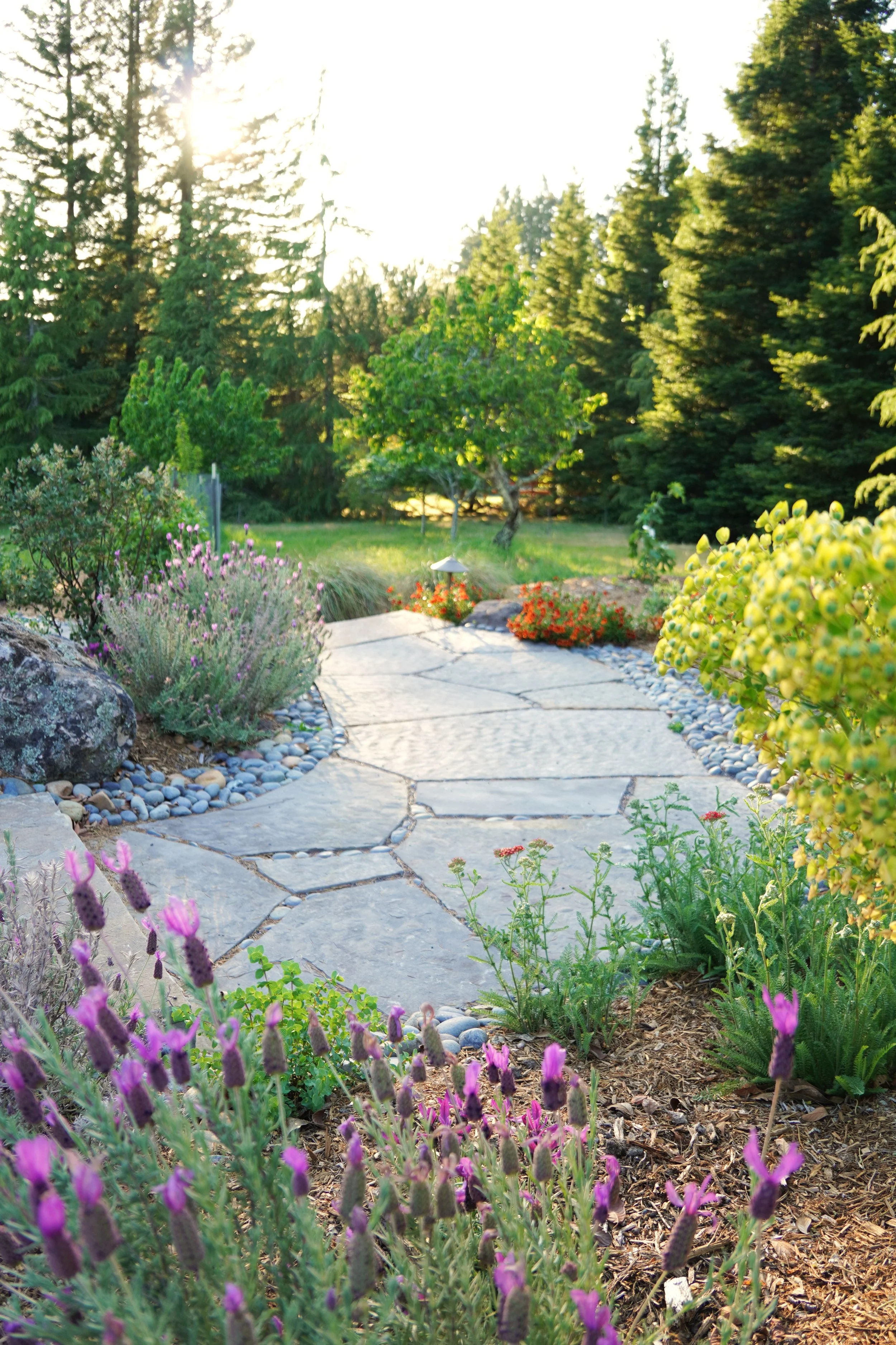 A sunlit garden pathway lined with colorful flowers and green trees.