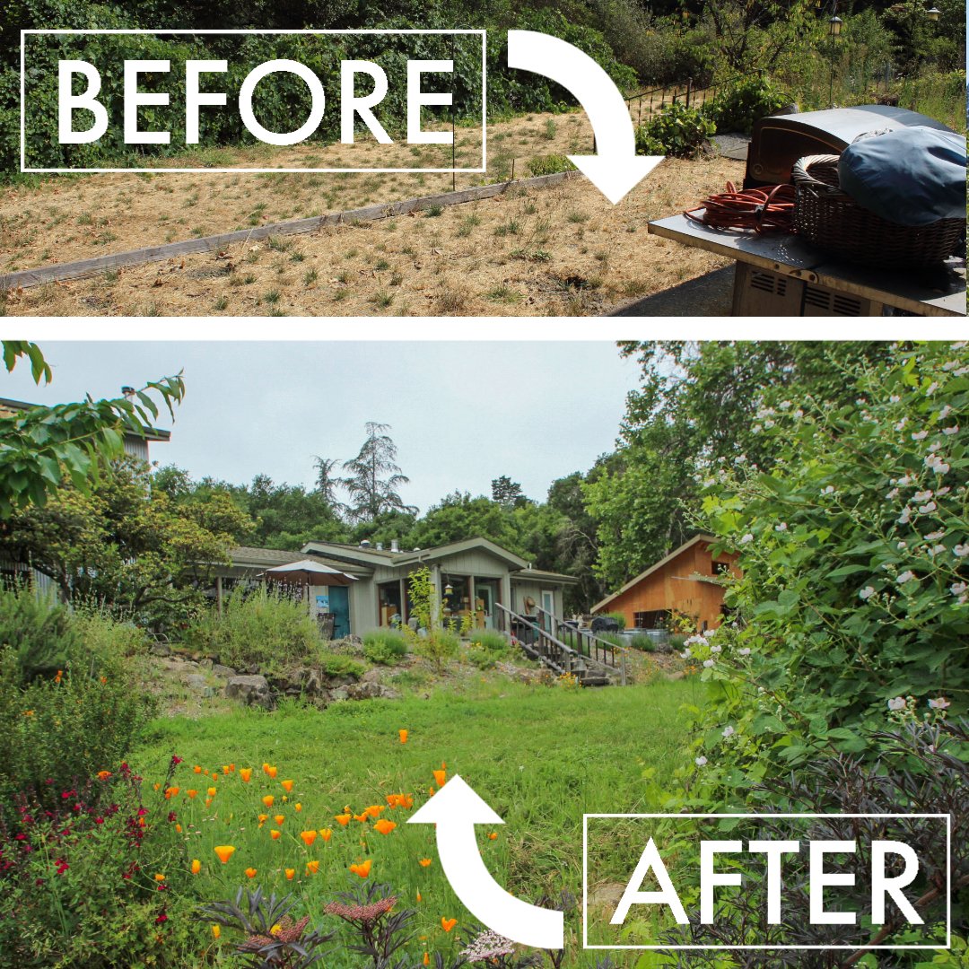 Removal of lawn to be replaced by mowable meadow - complete with waterfall pond feature, galvanized beds, and custom fence with decorative panels.