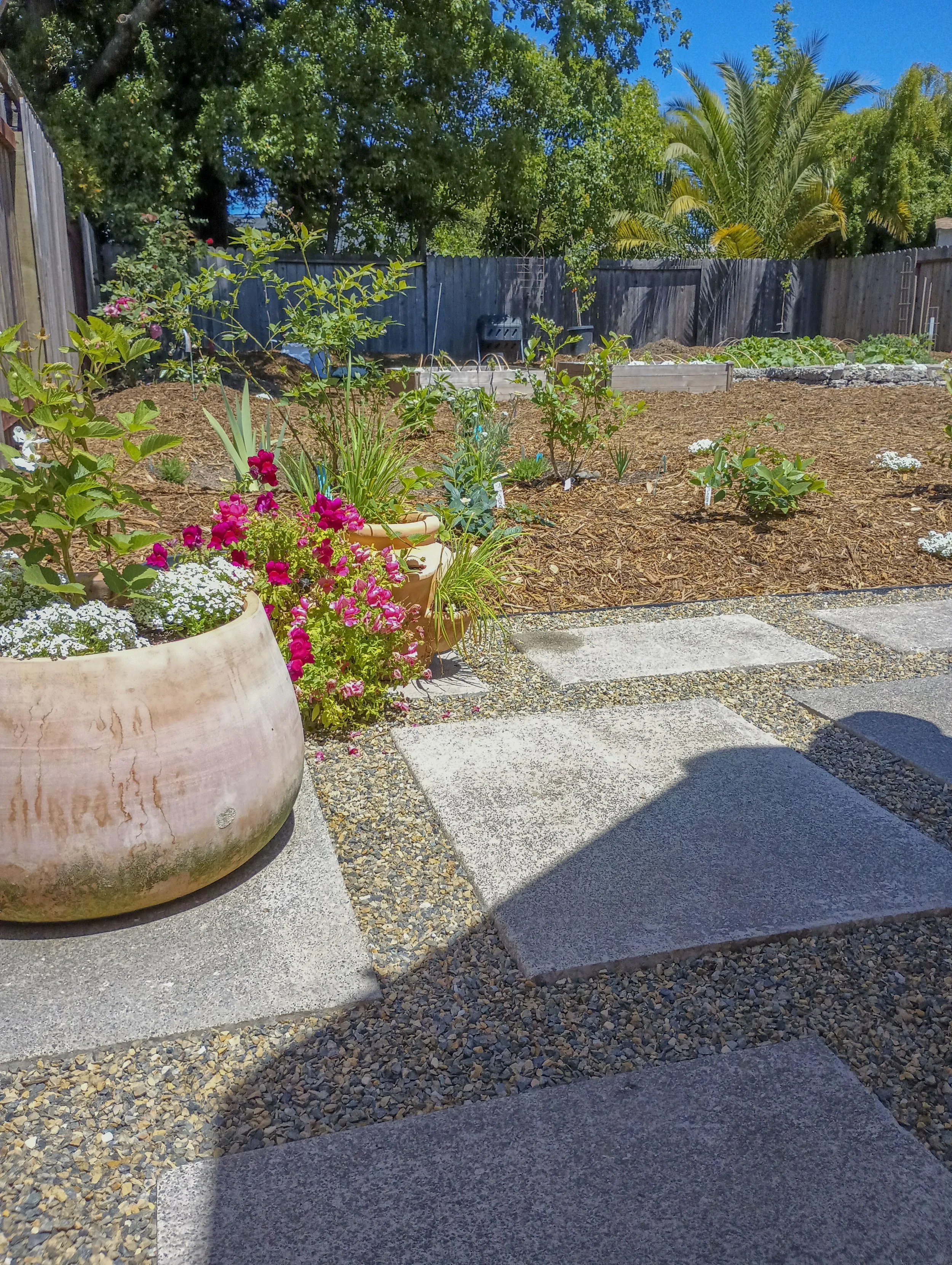 Garden with potted flowers, vegetable beds, and a stone pathway under a clear blue sky.