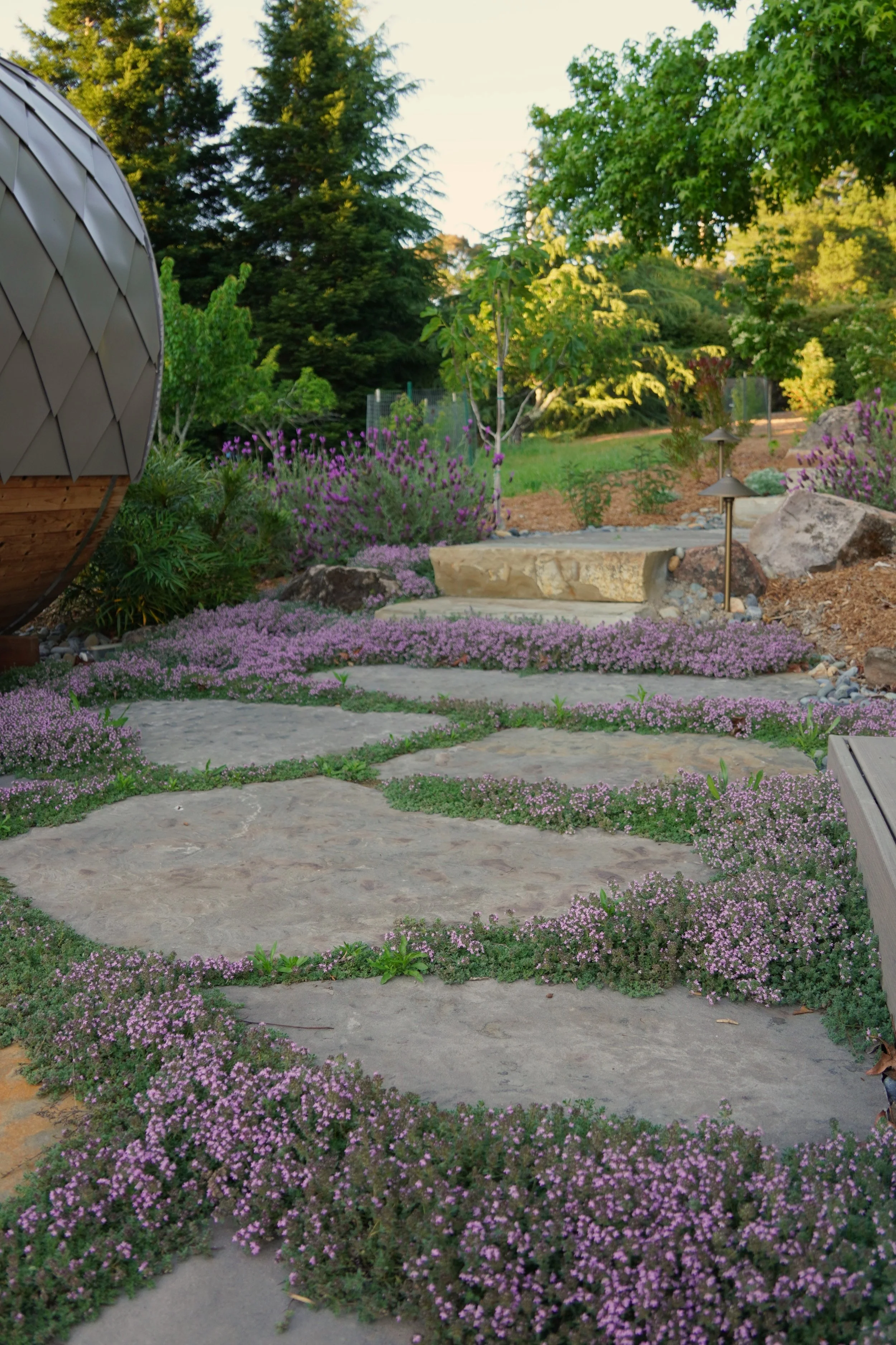 A landscaped garden with stone pathway, purple ground cover plants, and lush green trees and bushes, with a modern structure on the left side.