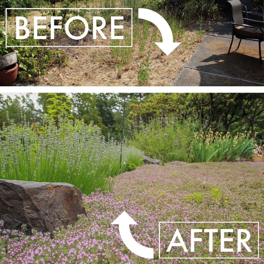 BEFORE AND AFTER-9.jpg