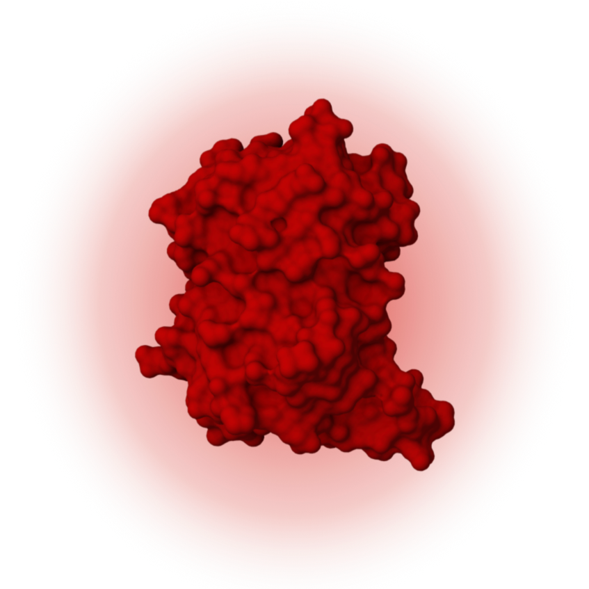 mCherry mRNA